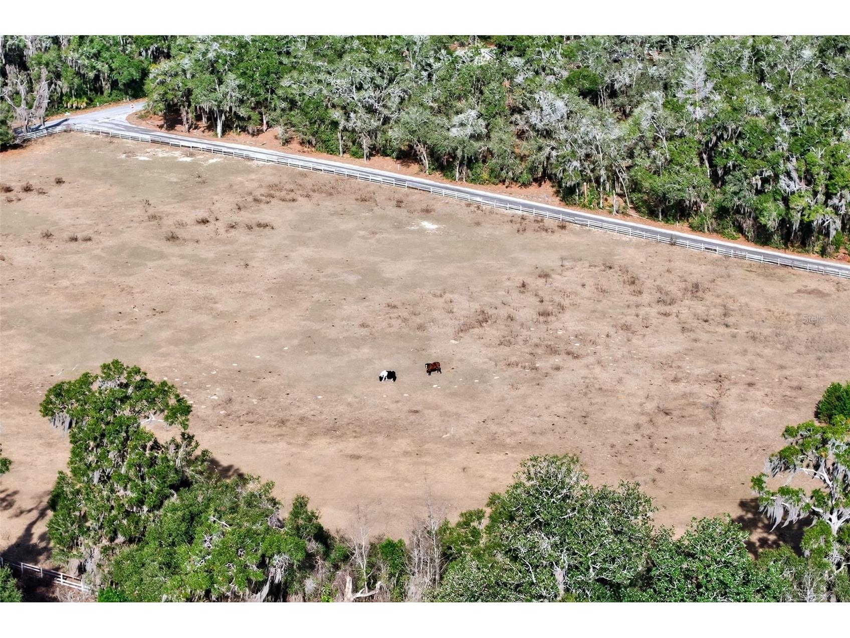 8989 S Great Oaks Drive Floral City FL 34436 - Bradley Lake OM716983 image19