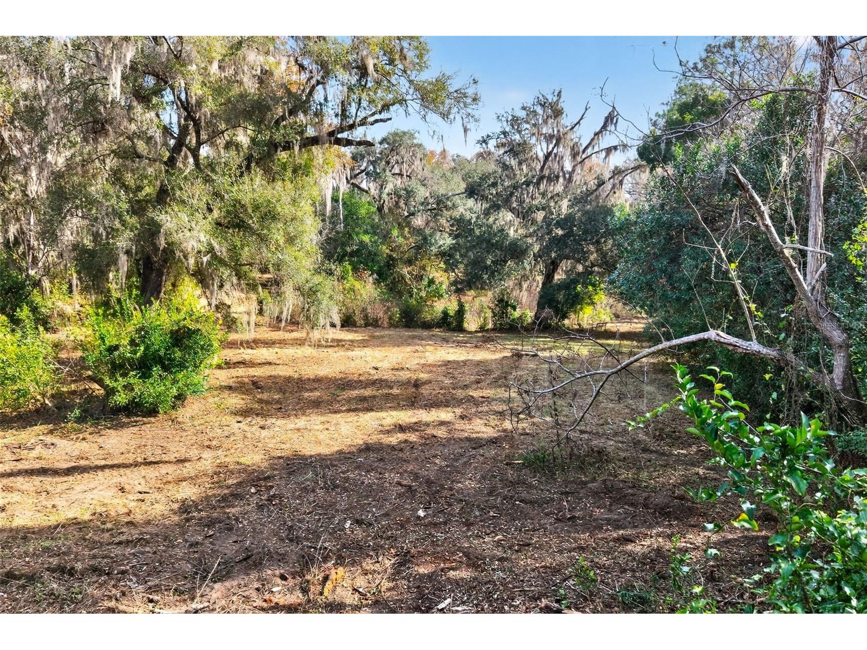 8989 S Great Oaks Drive Floral City FL 34436 - Bradley Lake OM716983 image20