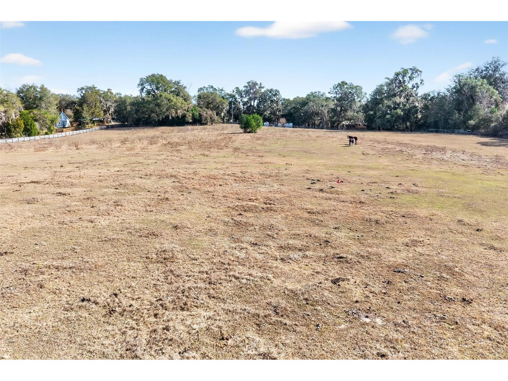 8989 S Great Oaks Drive Floral City FL 34436 - Bradley Lake OM716983 image23