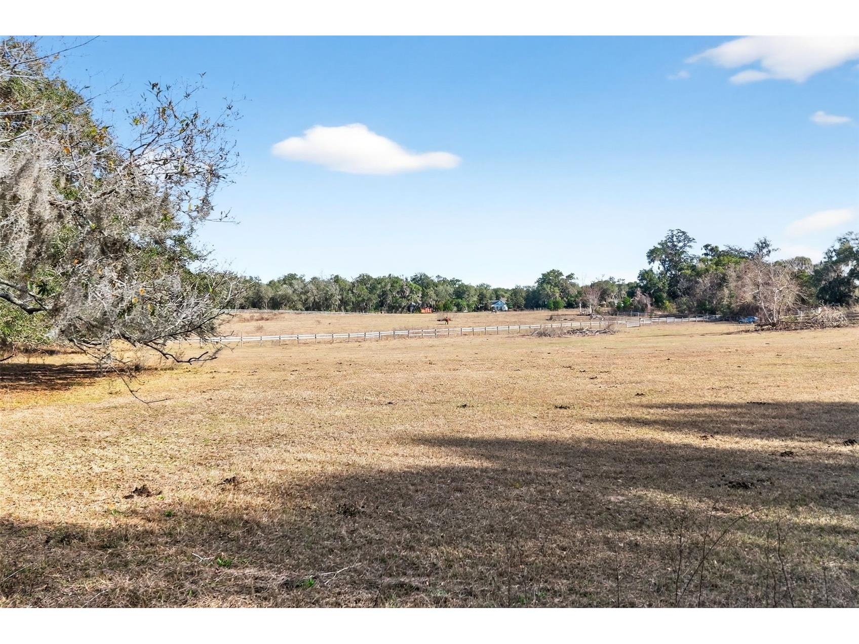 8989 S Great Oaks Drive Floral City FL 34436 - Bradley Lake OM716983 image25