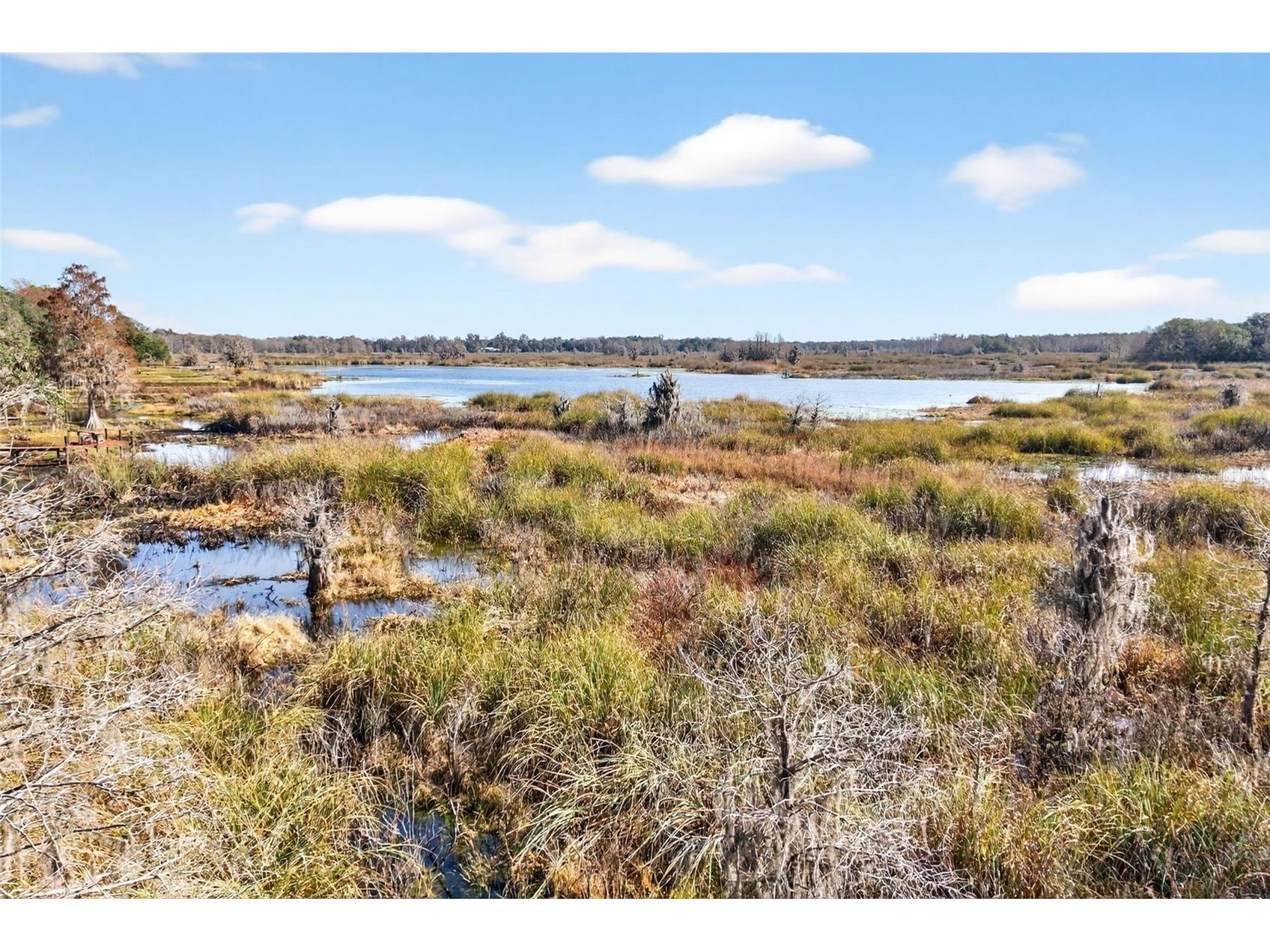 8989 S Great Oaks Drive Floral City FL 34436 - Bradley Lake OM716983 image27