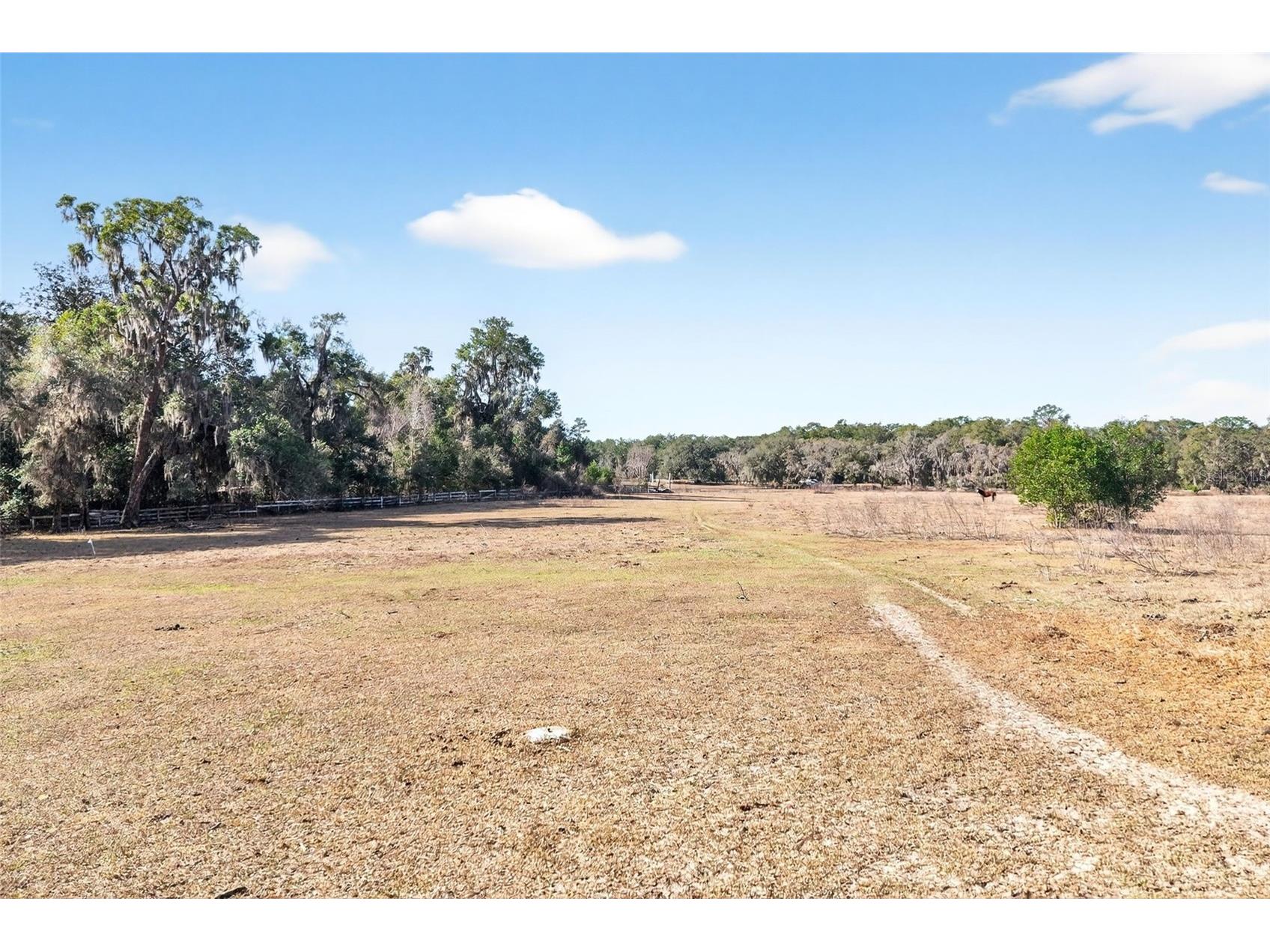 8989 S Great Oaks Drive Floral City FL 34436 - Bradley Lake OM716983 image28