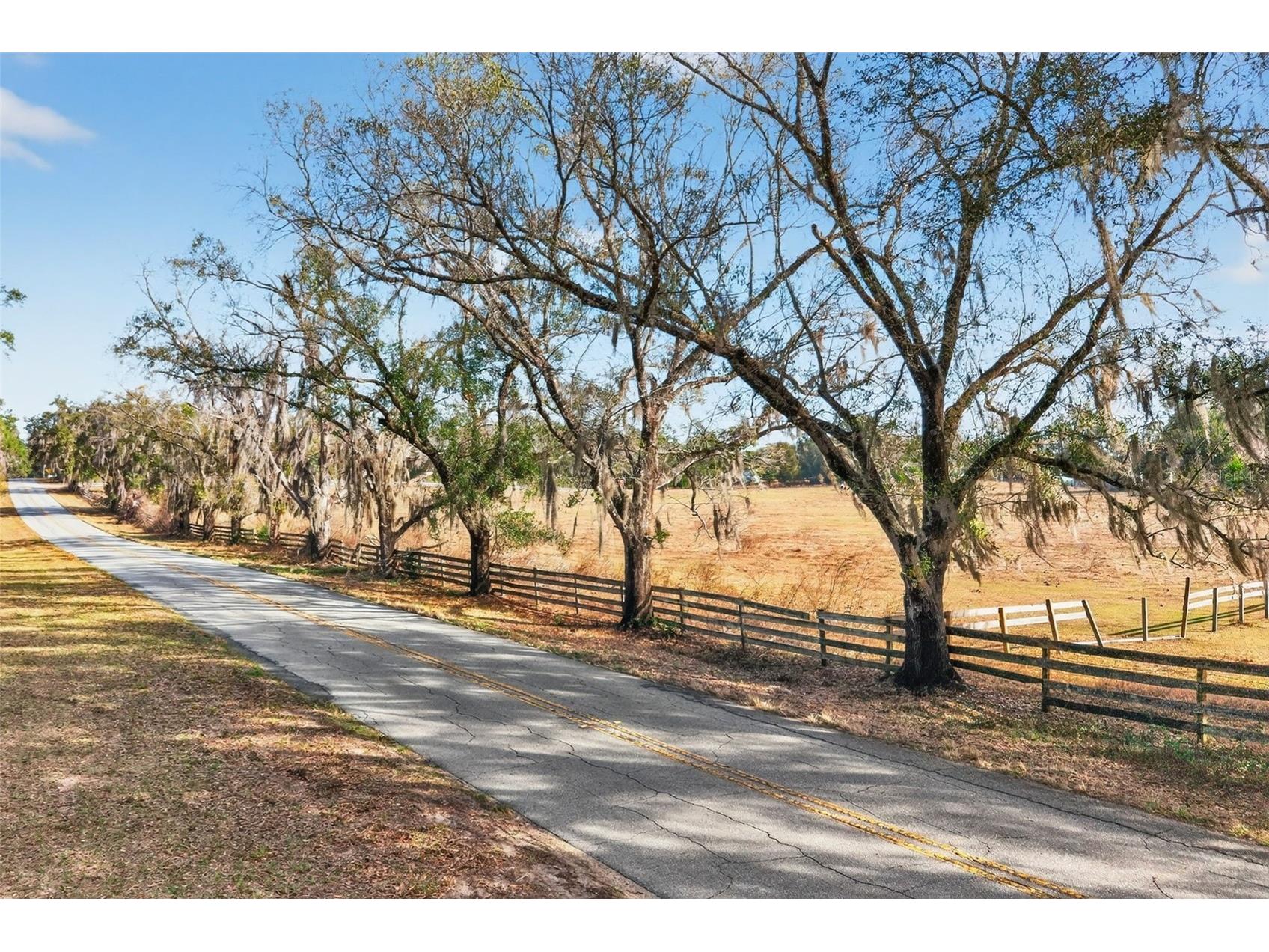 8989 S Great Oaks Drive Floral City FL 34436 - Bradley Lake OM716983 image3