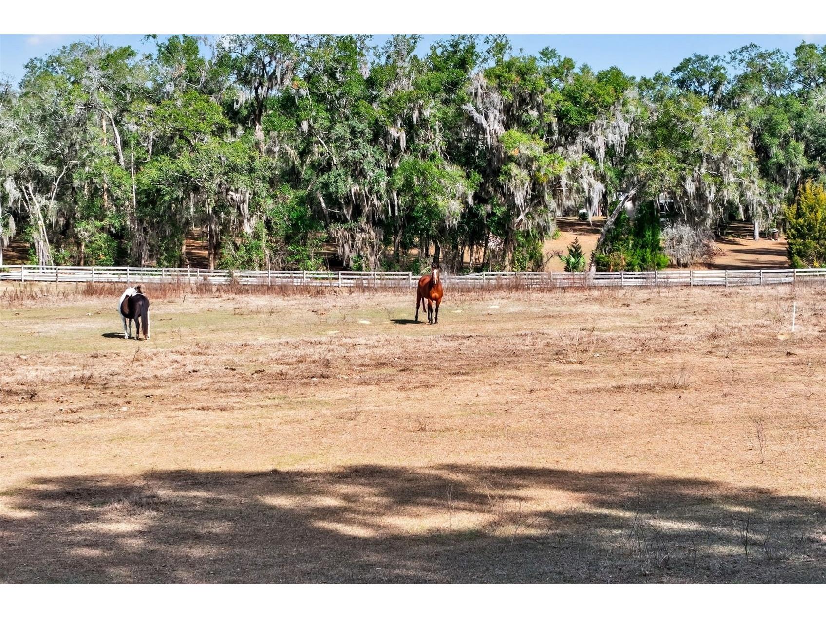 8989 S Great Oaks Drive Floral City FL 34436 - Bradley Lake OM716983 image30