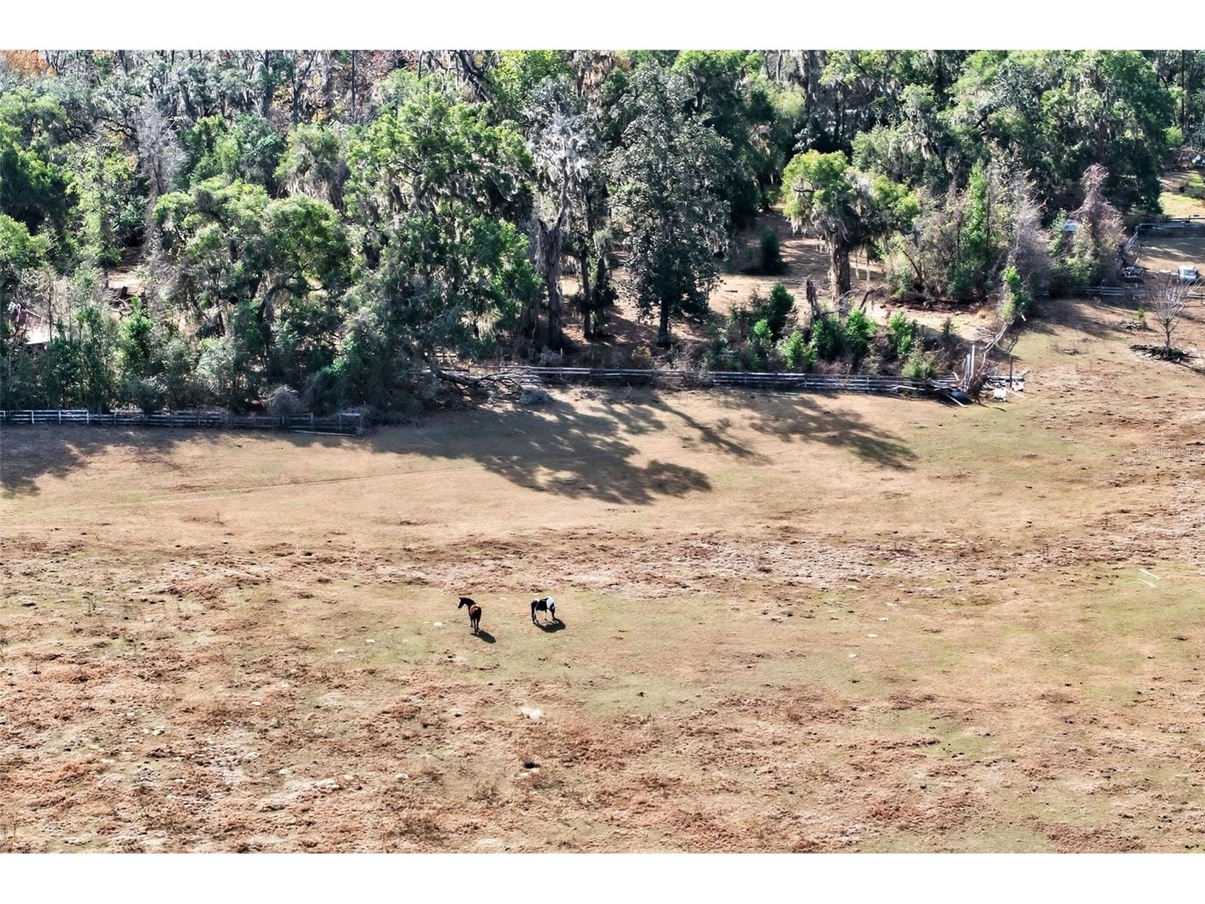 8989 S Great Oaks Drive Floral City FL 34436 - Bradley Lake OM716983 image32