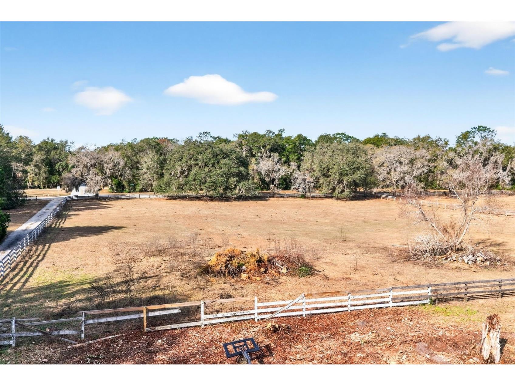 8989 S Great Oaks Drive Floral City FL 34436 - Bradley Lake OM716983 image36
