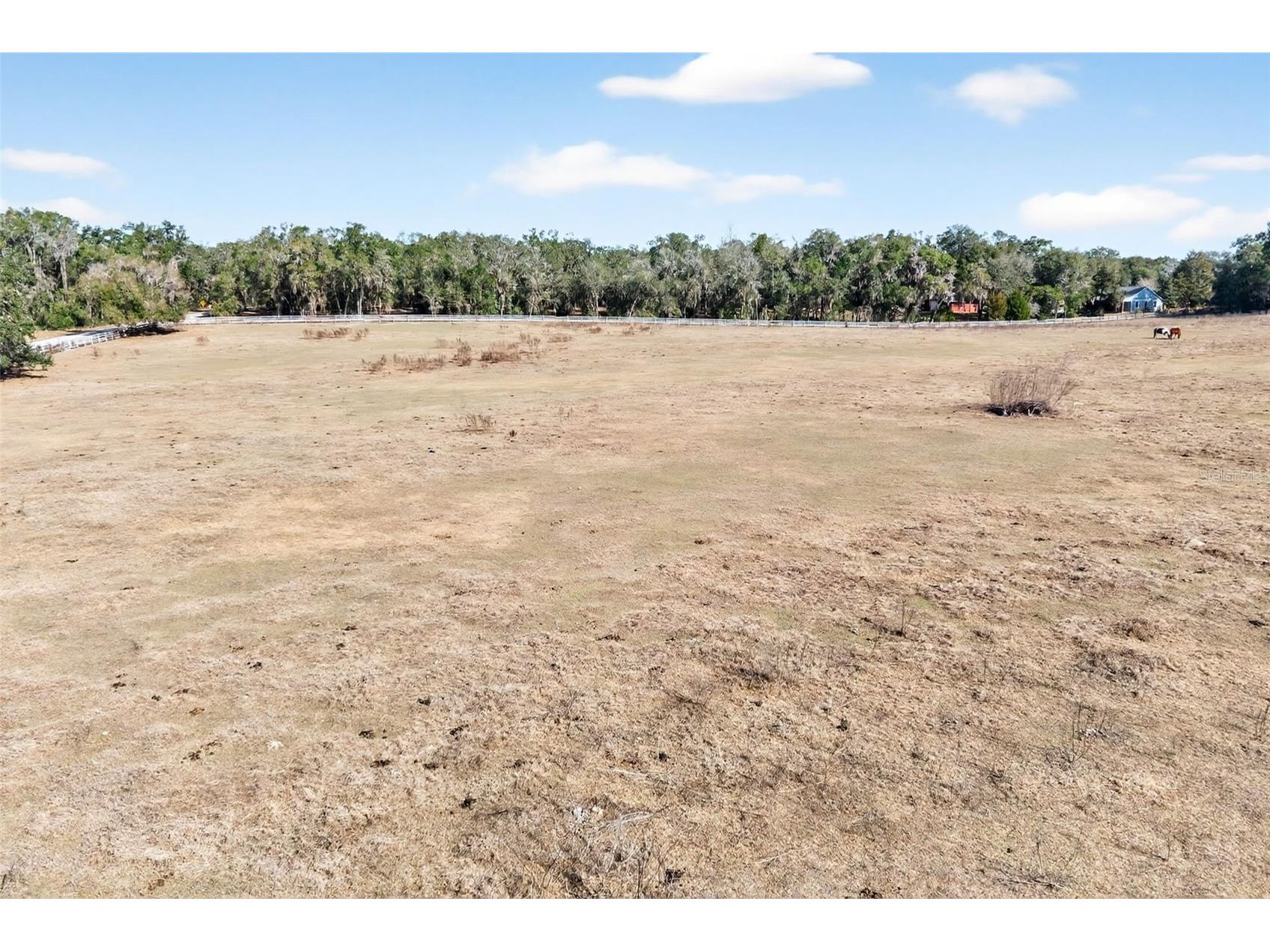 8989 S Great Oaks Drive Floral City FL 34436 - Bradley Lake OM716983 image38