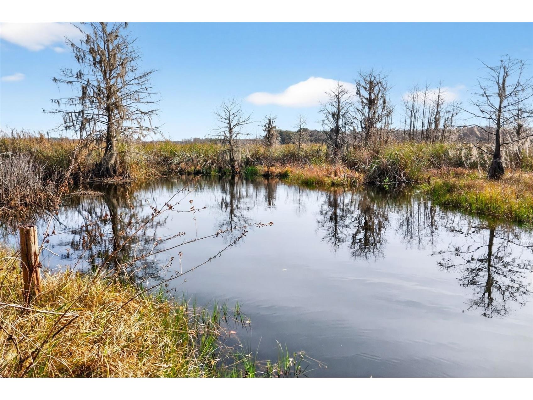 8989 S Great Oaks Drive Floral City FL 34436 - Bradley Lake OM716983 image4
