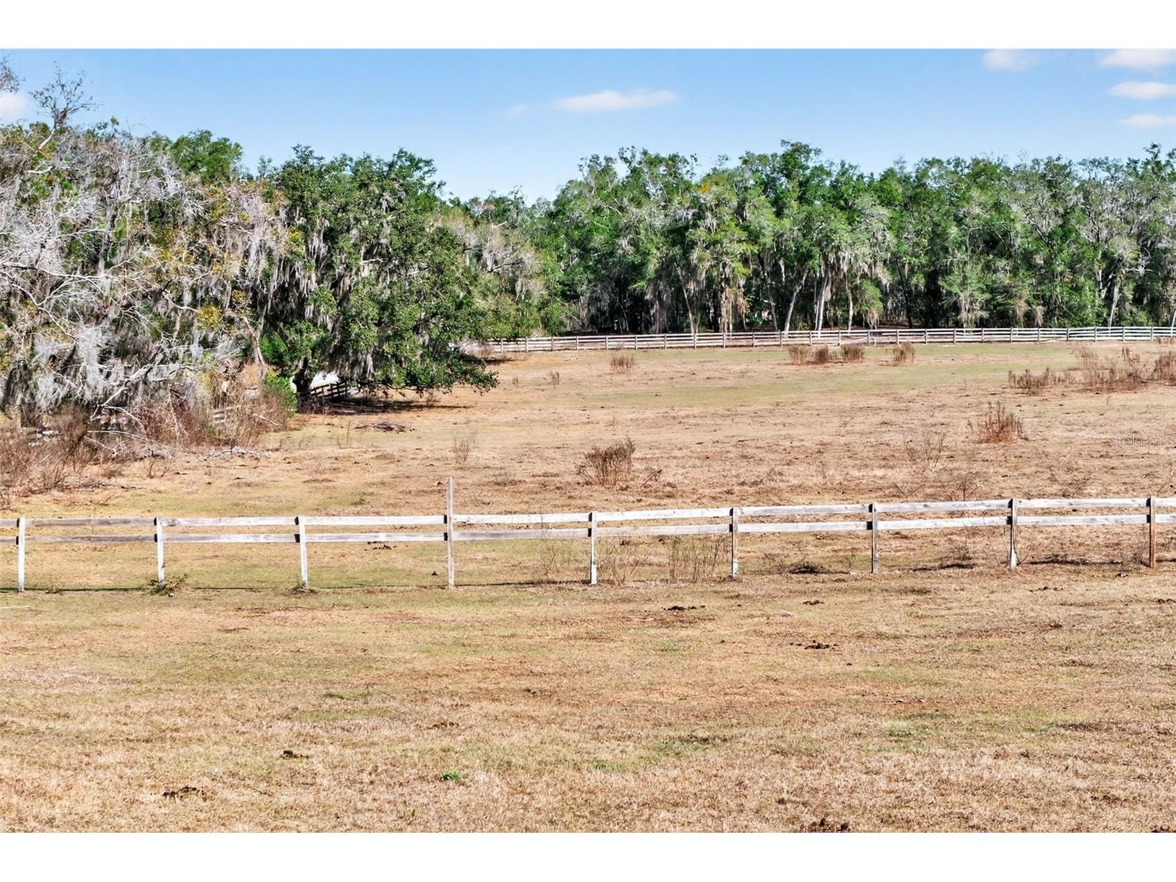 8989 S Great Oaks Drive Floral City FL 34436 - Bradley Lake OM716983 image47