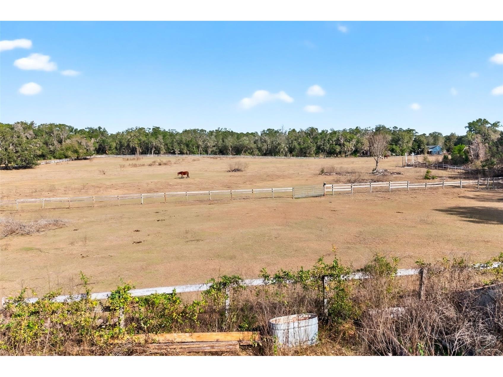 8989 S Great Oaks Drive Floral City FL 34436 - Bradley Lake OM716983 image48