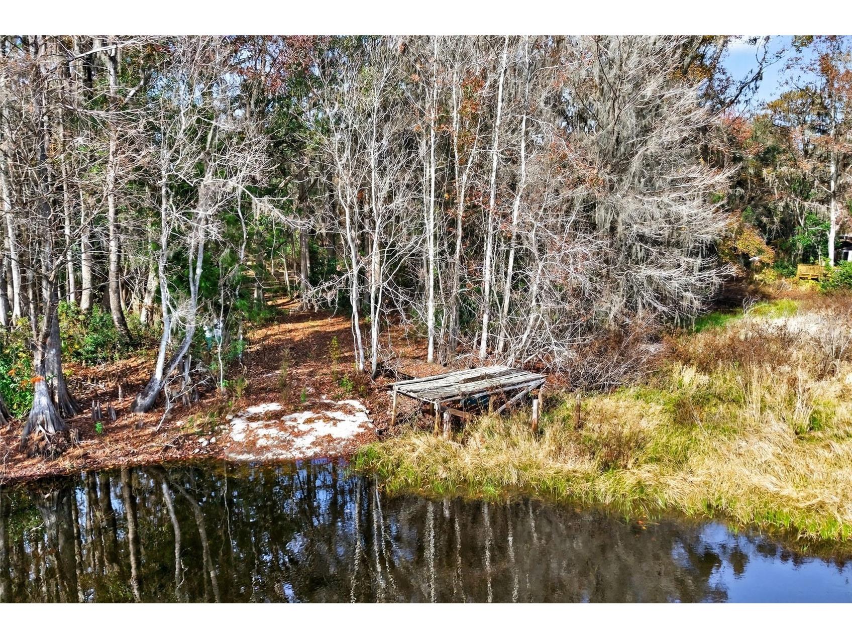 8989 S Great Oaks Drive Floral City FL 34436 - Bradley Lake OM716983 image5