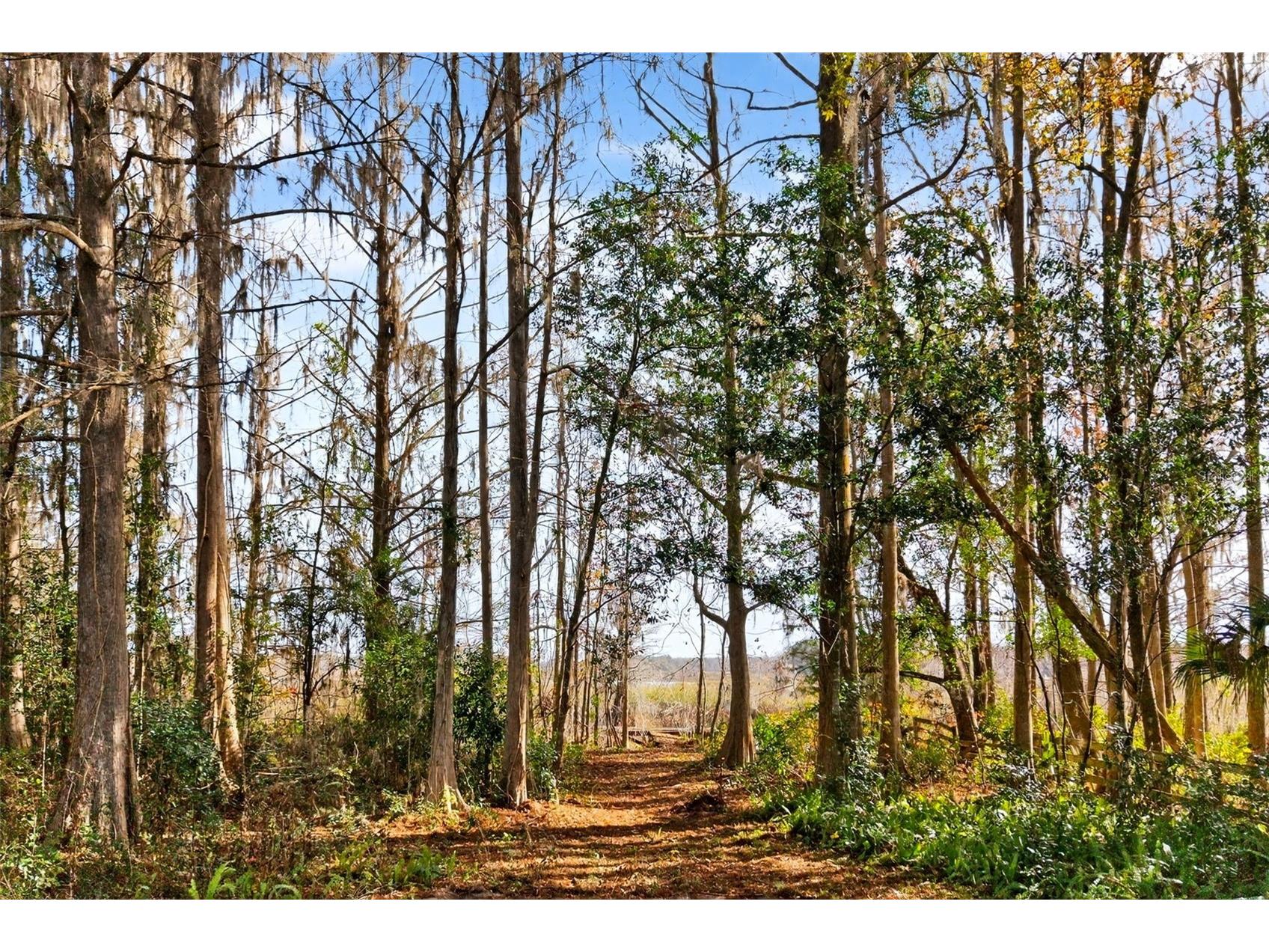 8989 S Great Oaks Drive Floral City FL 34436 - Bradley Lake OM716983 image6