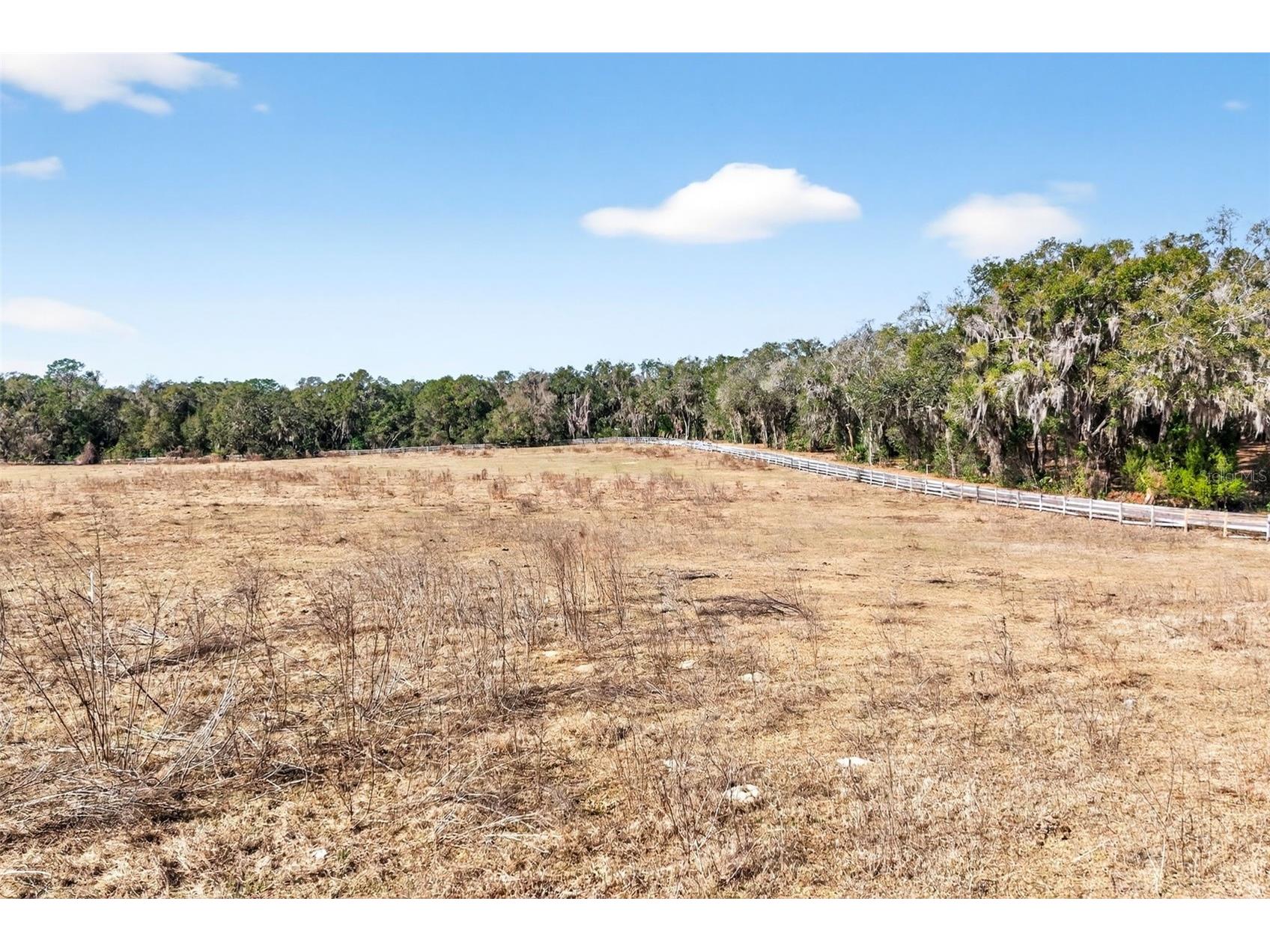 8989 S Great Oaks Drive Floral City FL 34436 - Bradley Lake OM716983 image7