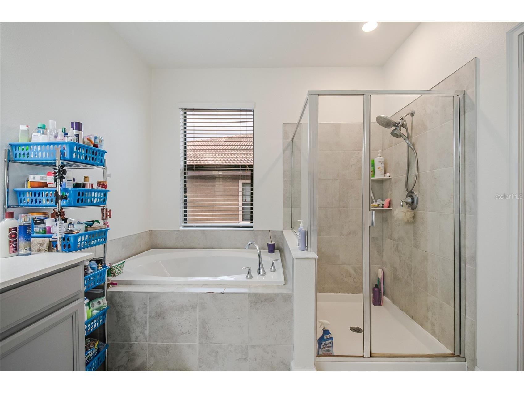 8990 Azalea Sands Lane #8990 Davenport FL 33896 S5143196 image38