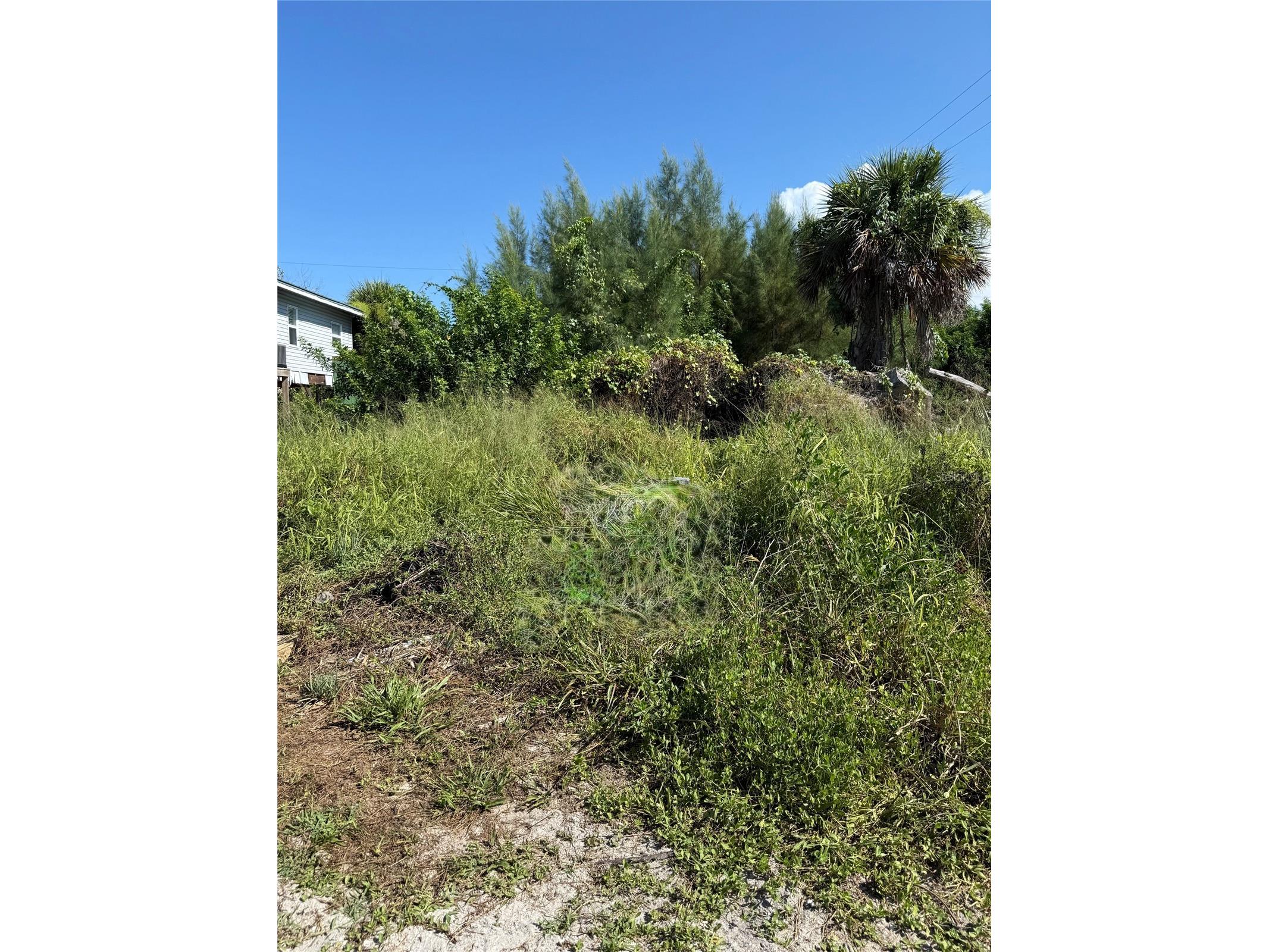 8990 Seagrape Lane Placida FL 33946 D6147948 image1