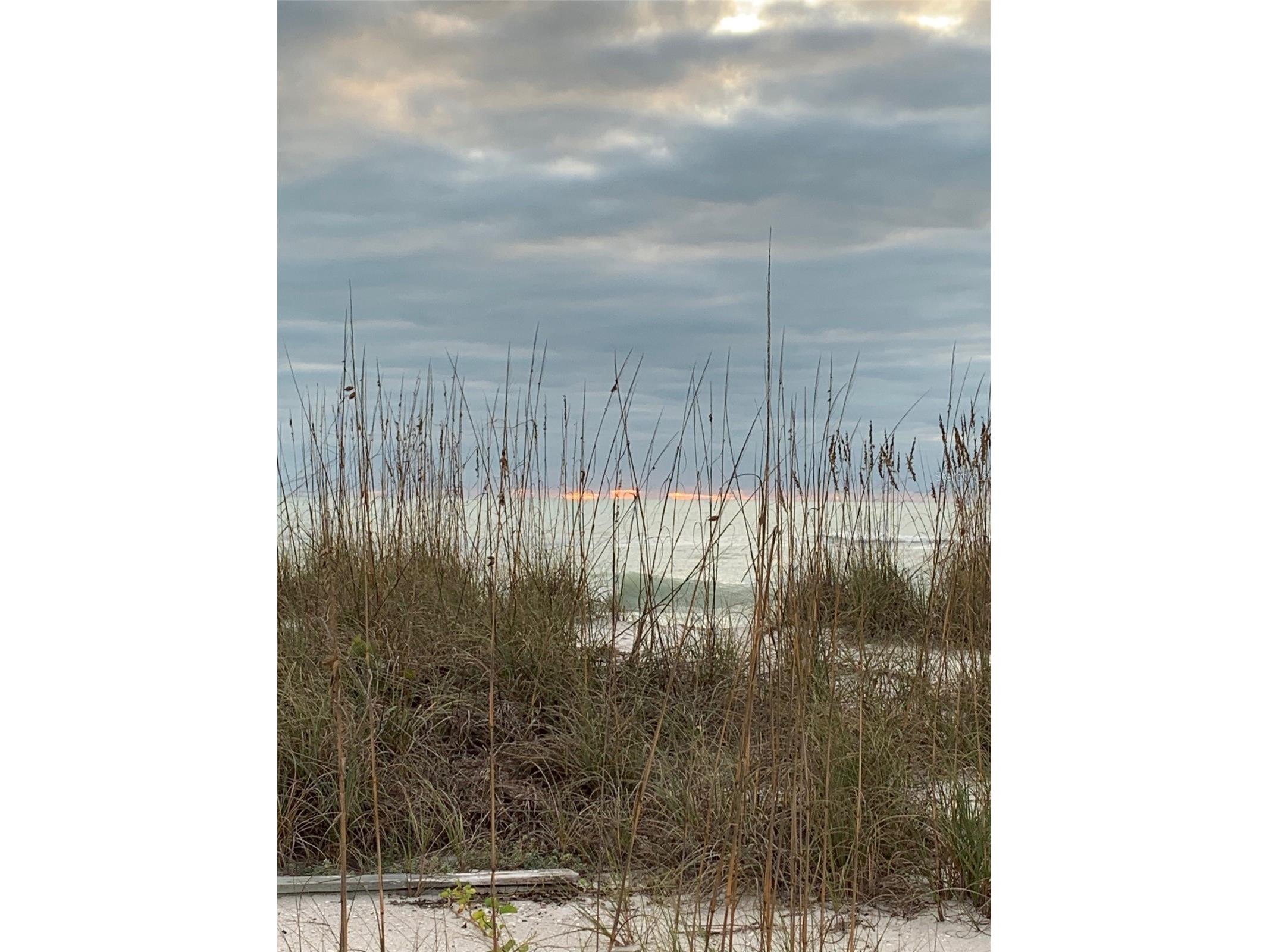 8990 Seagrape Lane Placida FL 33946 D6147948 image10
