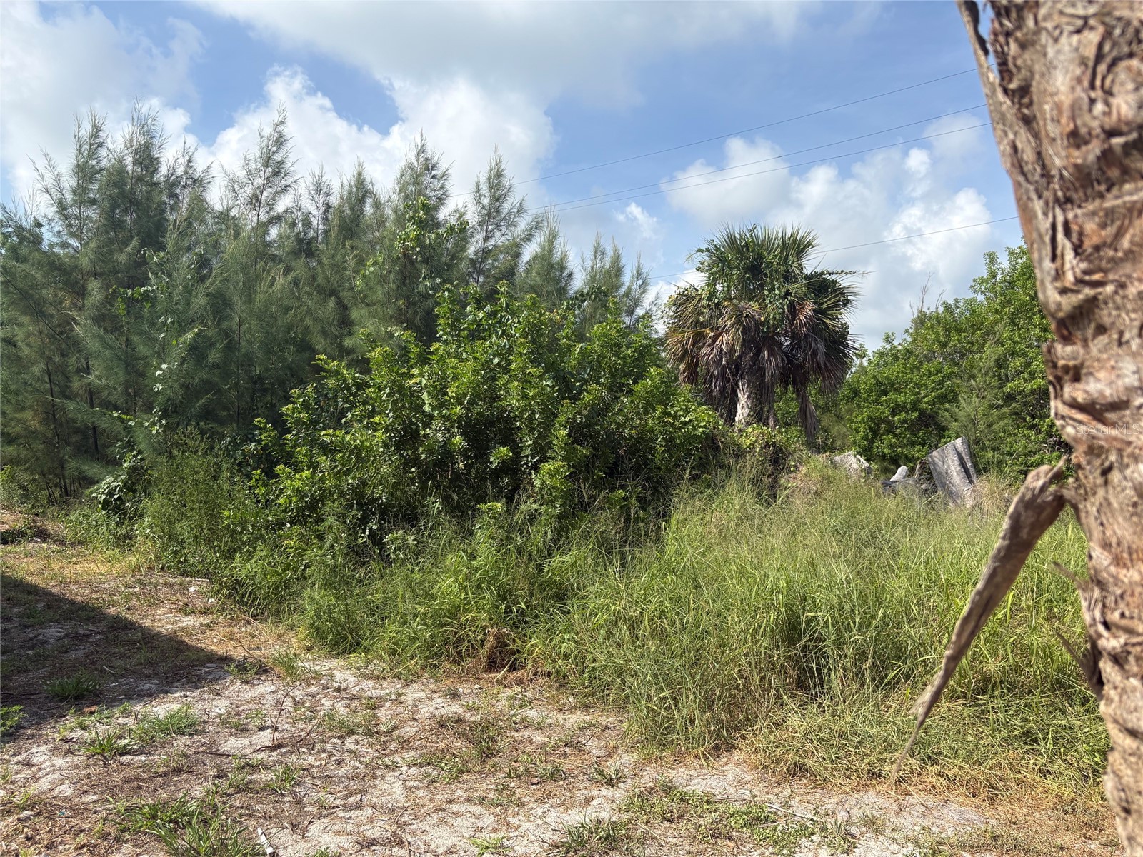 8990 Seagrape Lane Placida FL 33946 D6147948 image2