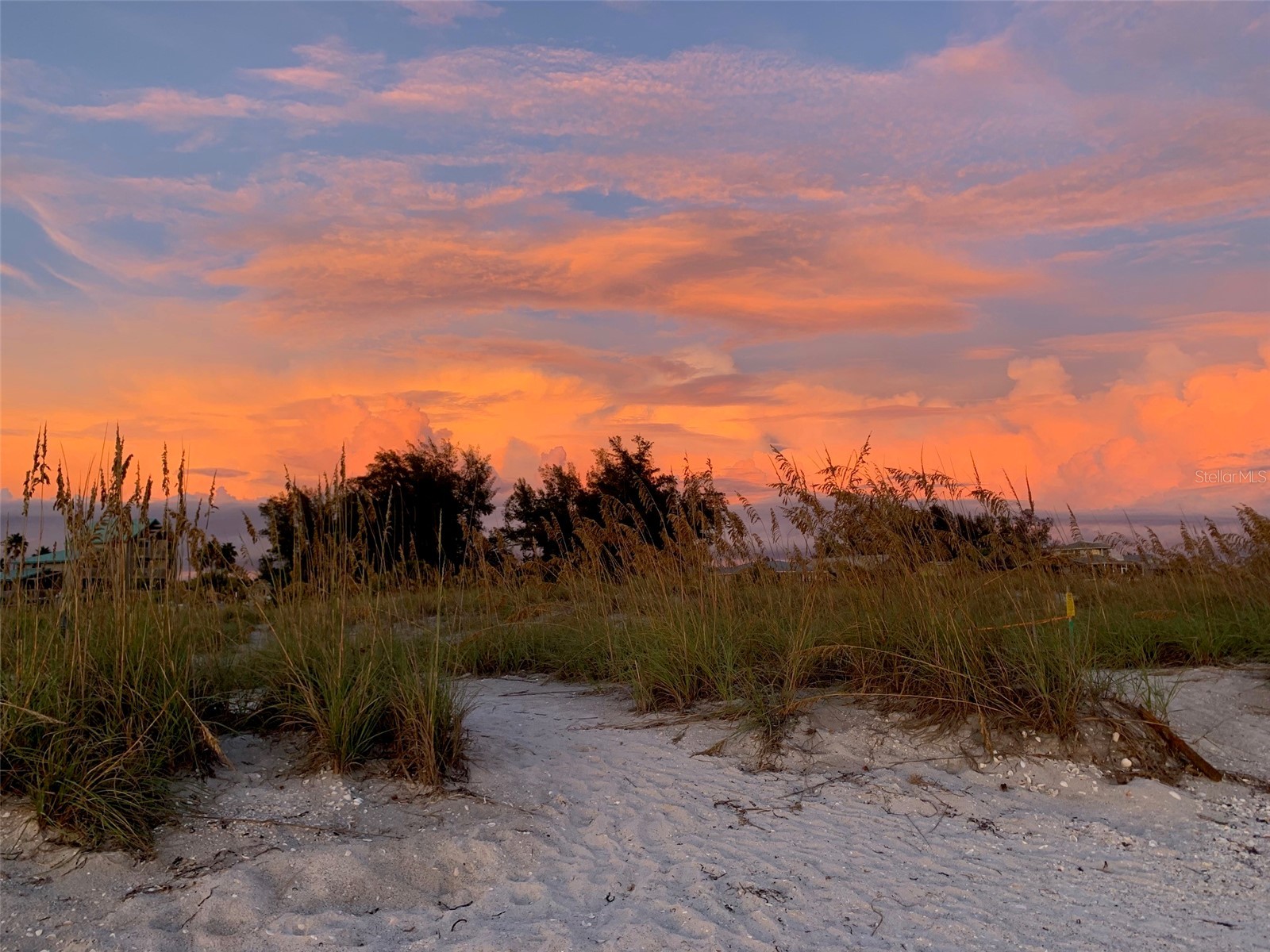 8990 Seagrape Lane Placida FL 33946 D6147948 image9