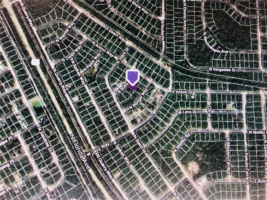 8991 N Ruby Way Citrus Springs FL 34434 OM626479 image2