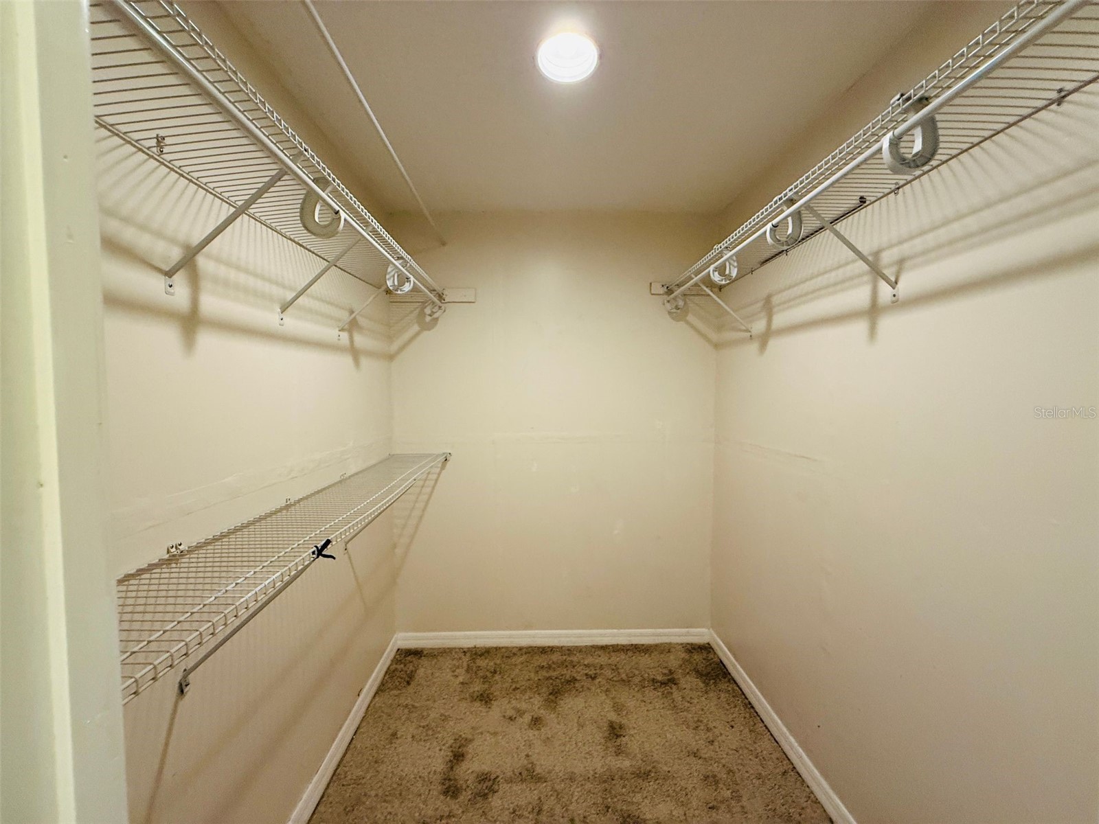 8992 Hernando Way Weeki Wachee FL 34613 TB8464650 image13