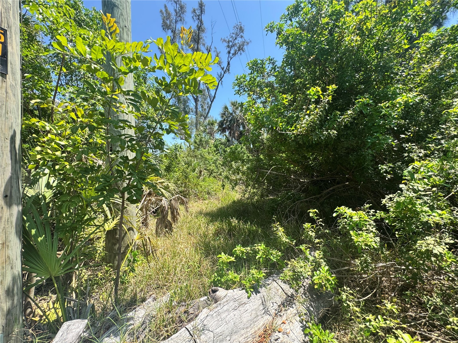 8992 Seagrape Lane Placida FL 33946 A4691772 image10