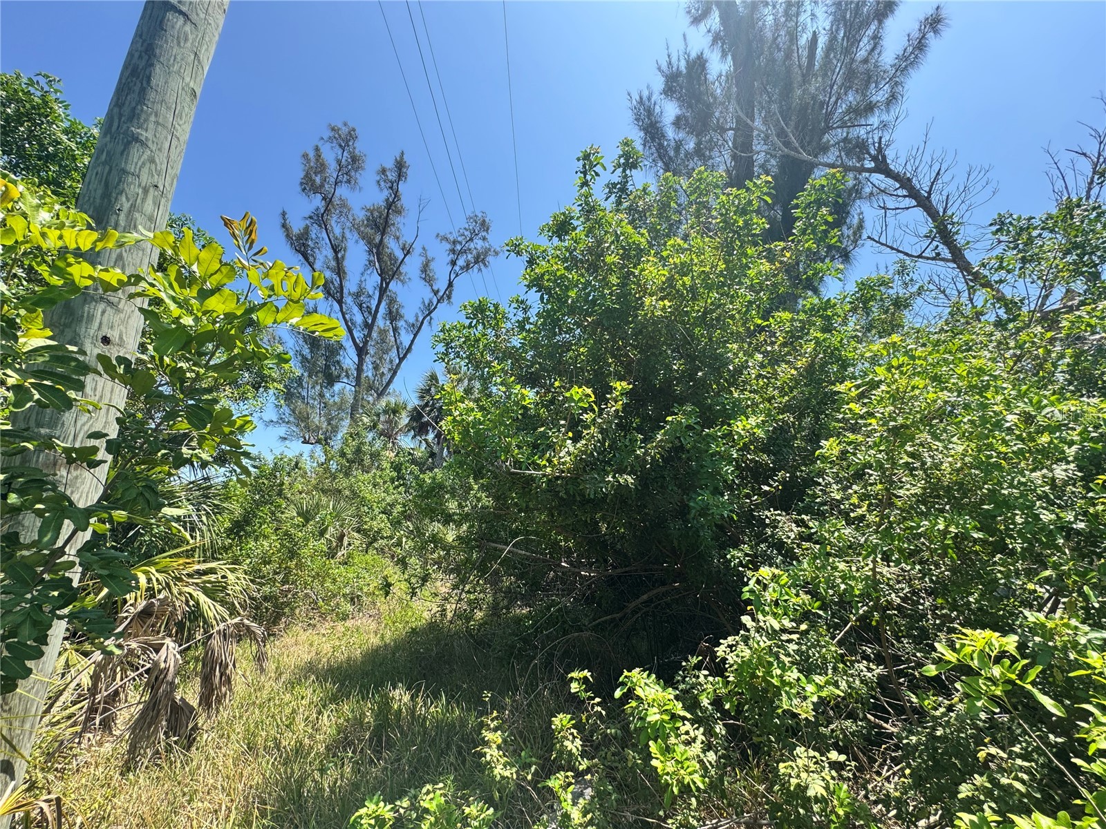 8992 Seagrape Lane Placida FL 33946 A4691772 image11