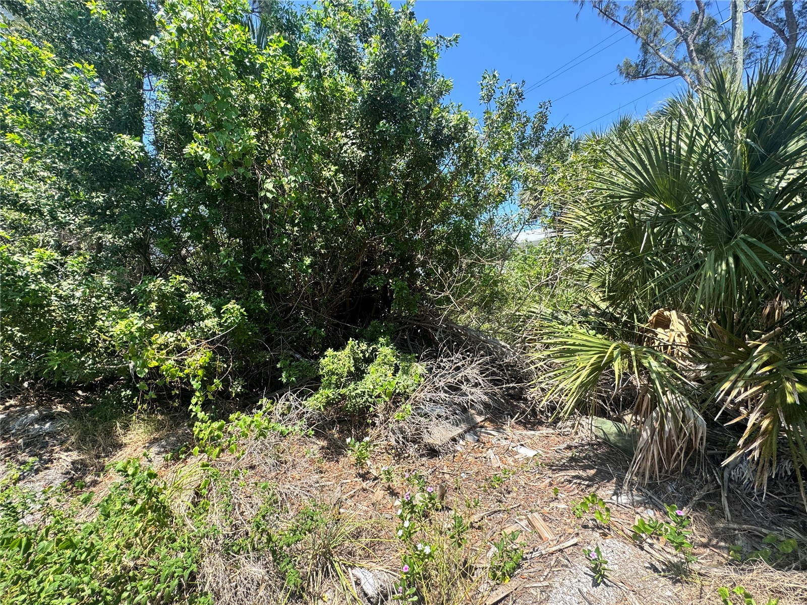 8992 Seagrape Lane Placida FL 33946 A4691772 image13