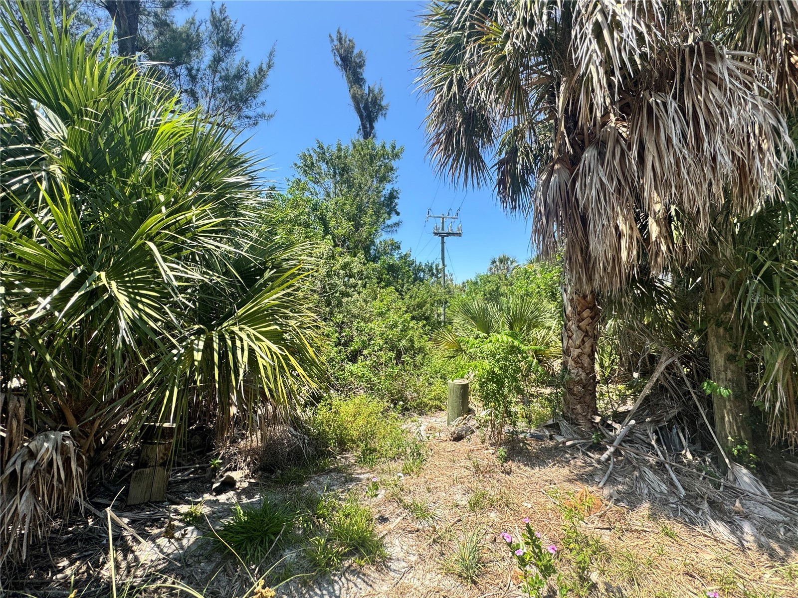 8992 Seagrape Lane Placida FL 33946 A4691772 image14