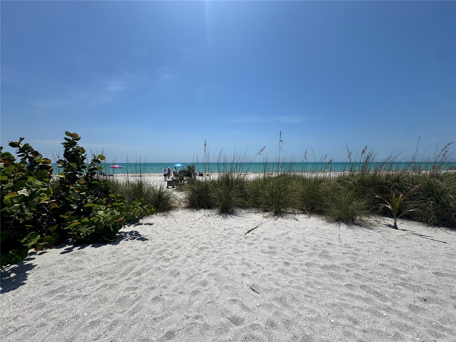 8992 Seagrape Lane Placida FL 33946 A4691772 image18