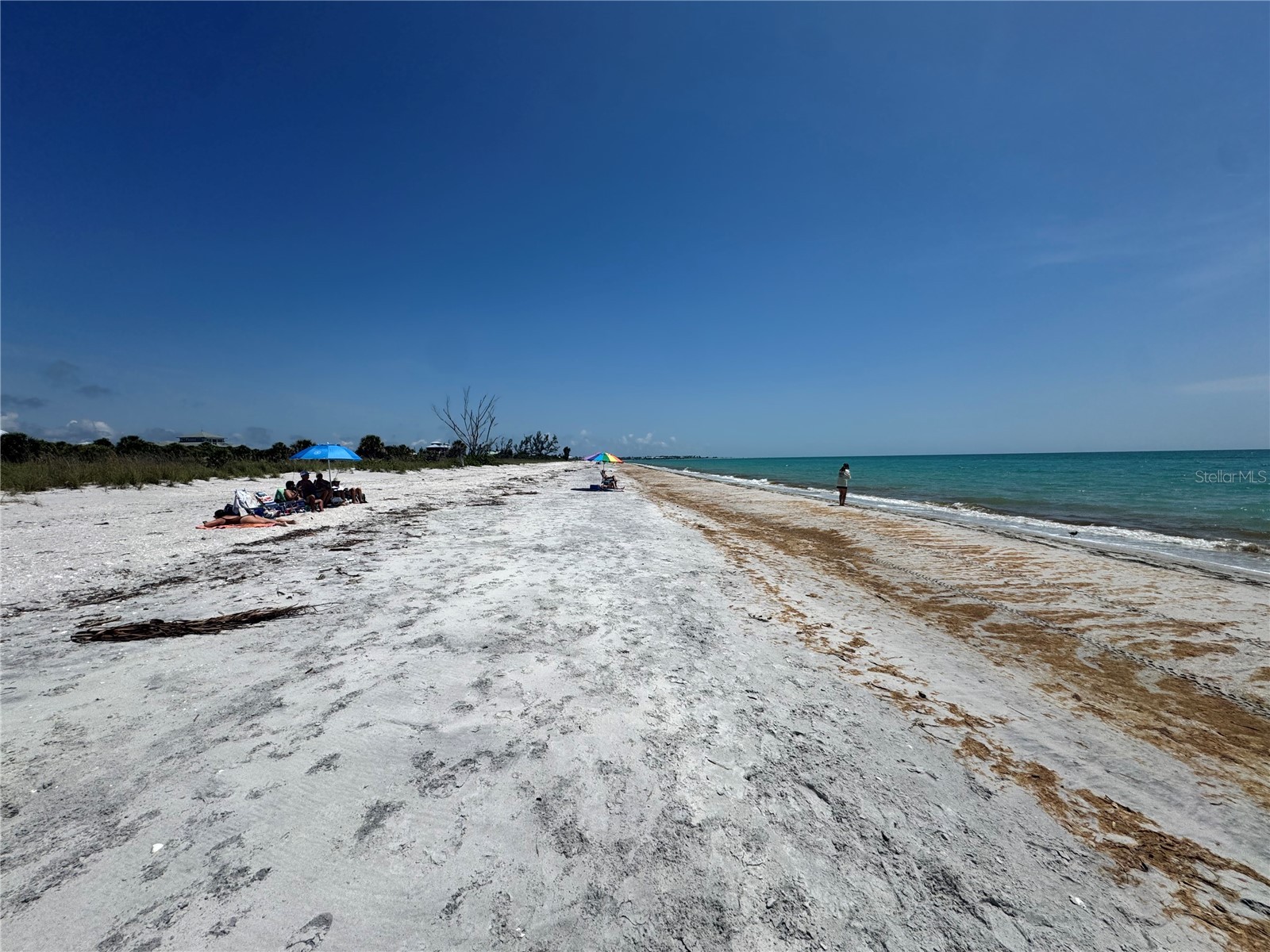 8992 Seagrape Lane Placida FL 33946 A4691772 image23