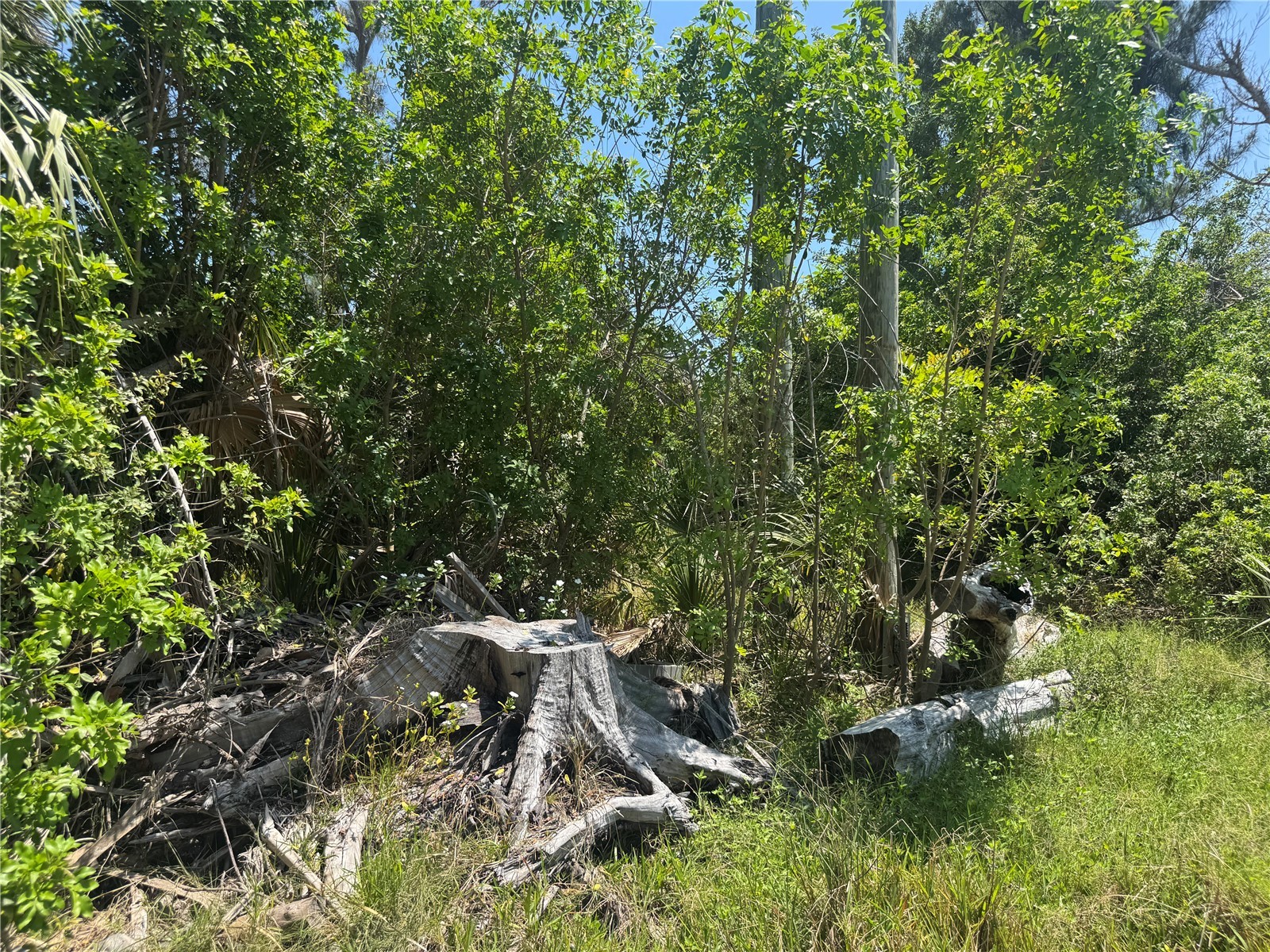 8992 Seagrape Lane Placida FL 33946 A4691772 image6