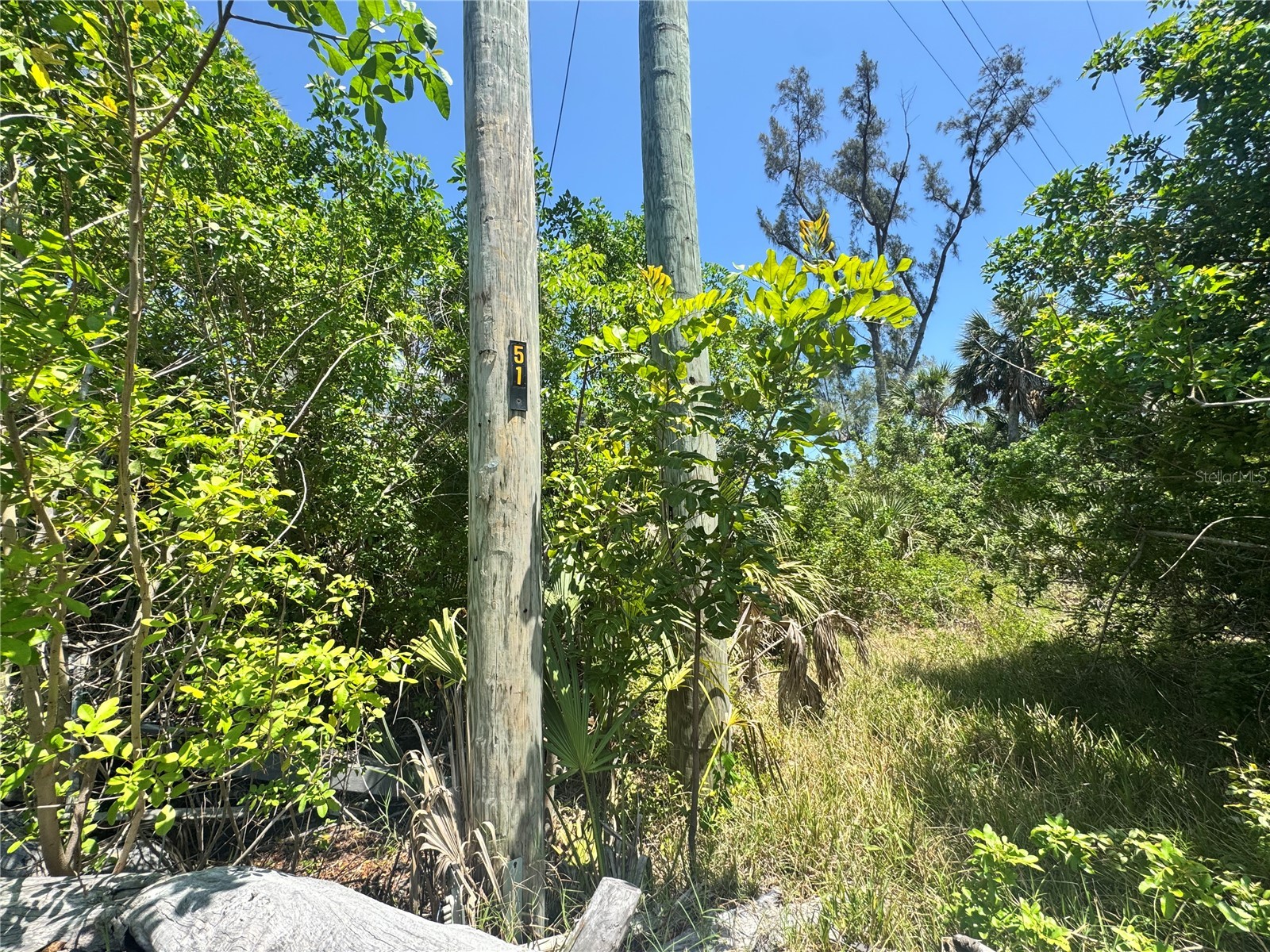 8992 Seagrape Lane Placida FL 33946 A4691772 image8