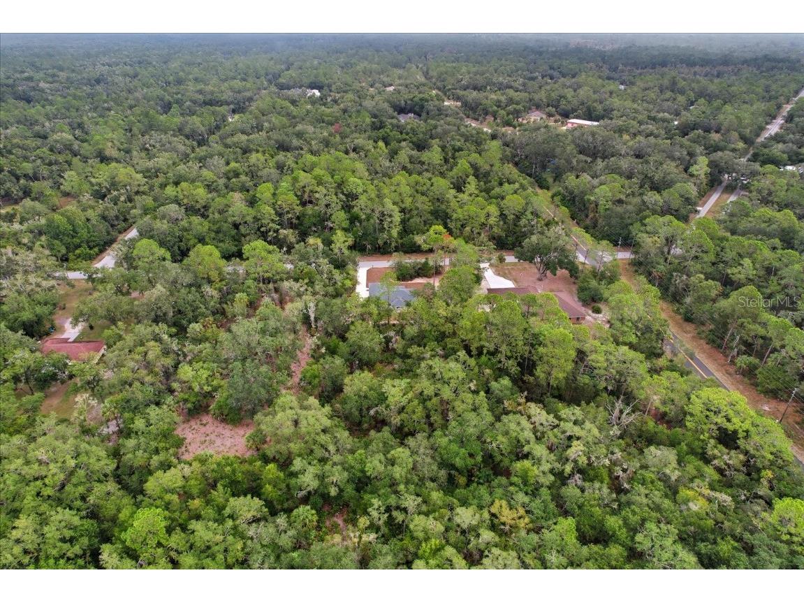 8996 N Cacalia Drive Crystal River FL 34428 TB8438864 image49