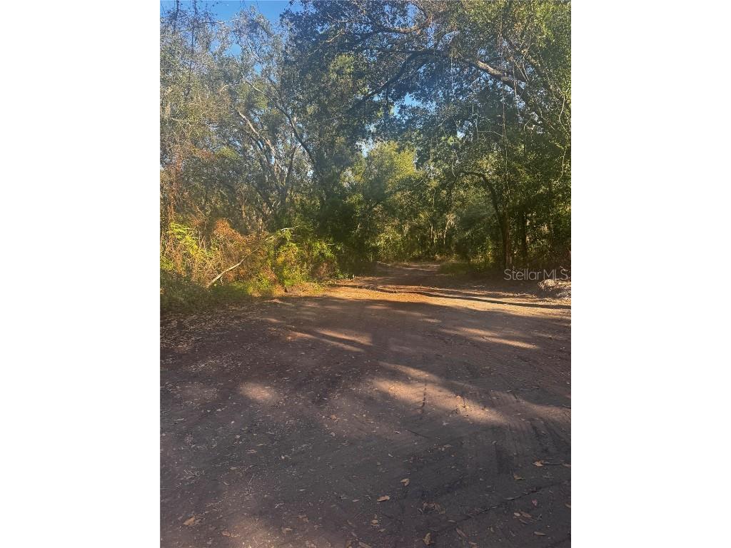 9-20 Anno Tampa FL 33625 TB8453609 image2