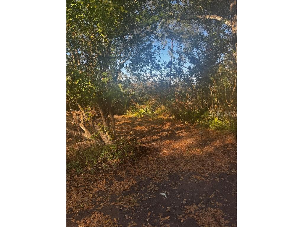 9-20 Anno Tampa FL 33625 TB8453609 image3