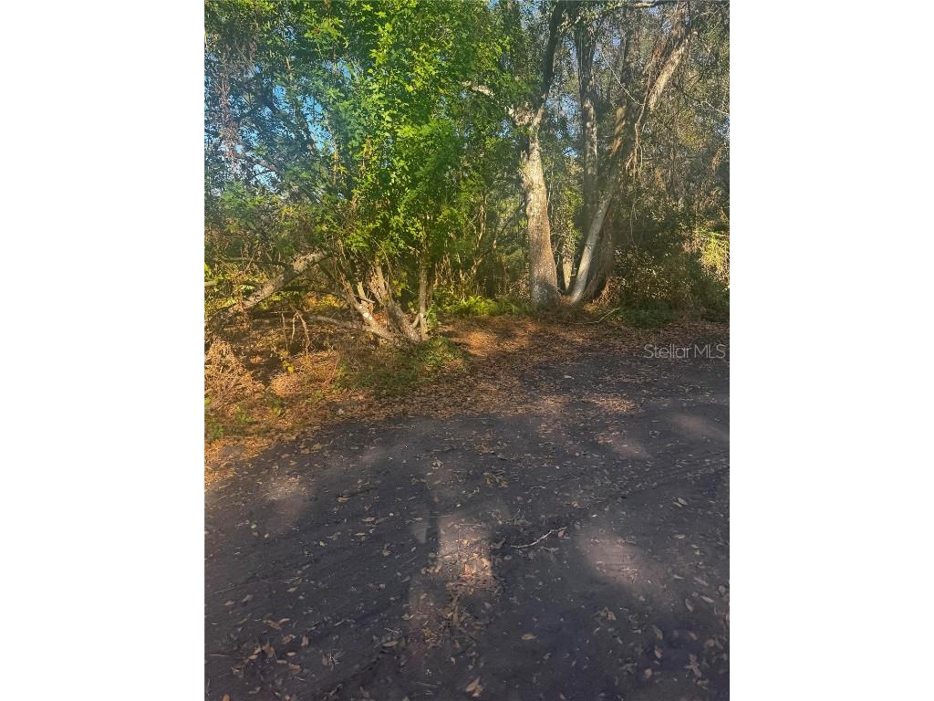 9-20 Anno Tampa FL 33625 TB8453609 image4