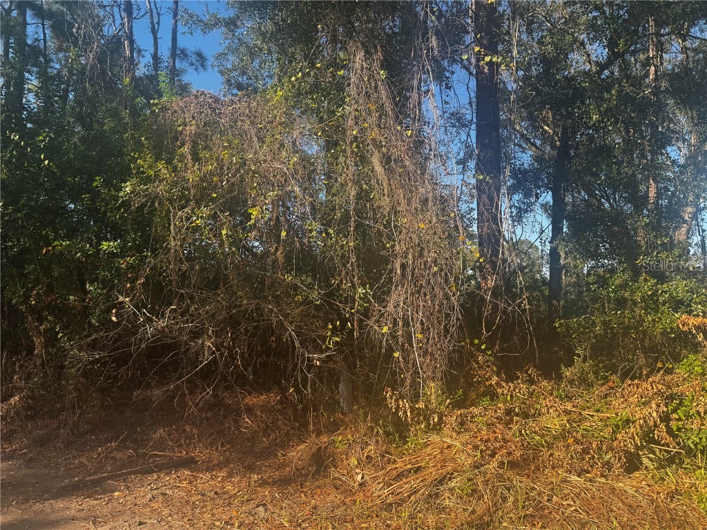 9-20 Anno Tampa FL 33625 TB8453609 image5