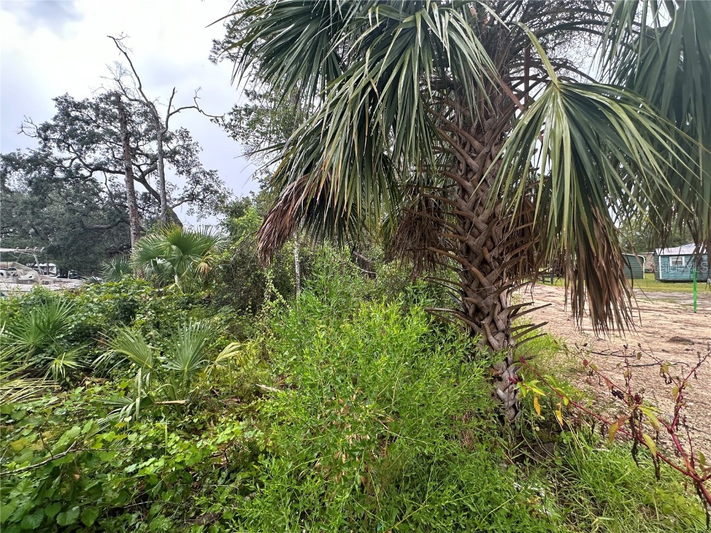 9 7th Street NE Steinhatchee FL 32359 GC524756 image3