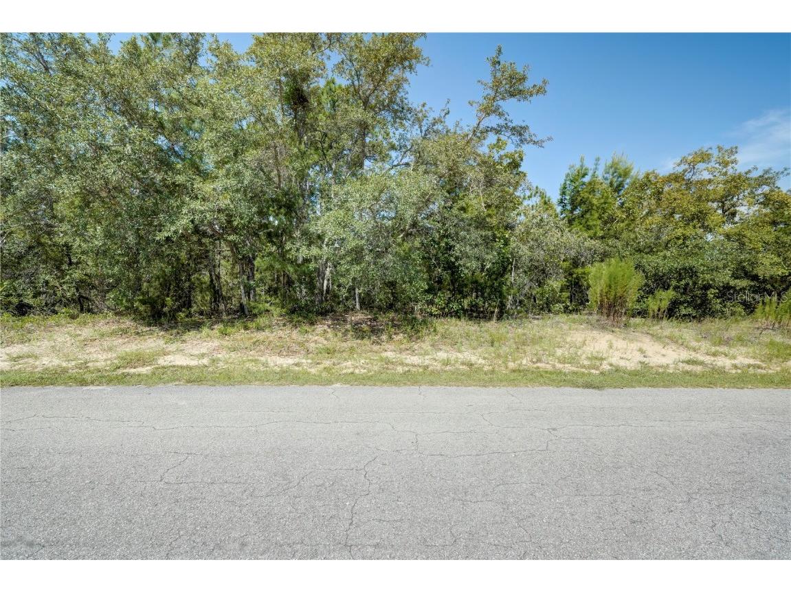 9 Candytuft Court Homosassa FL 34446 W7866778 image1