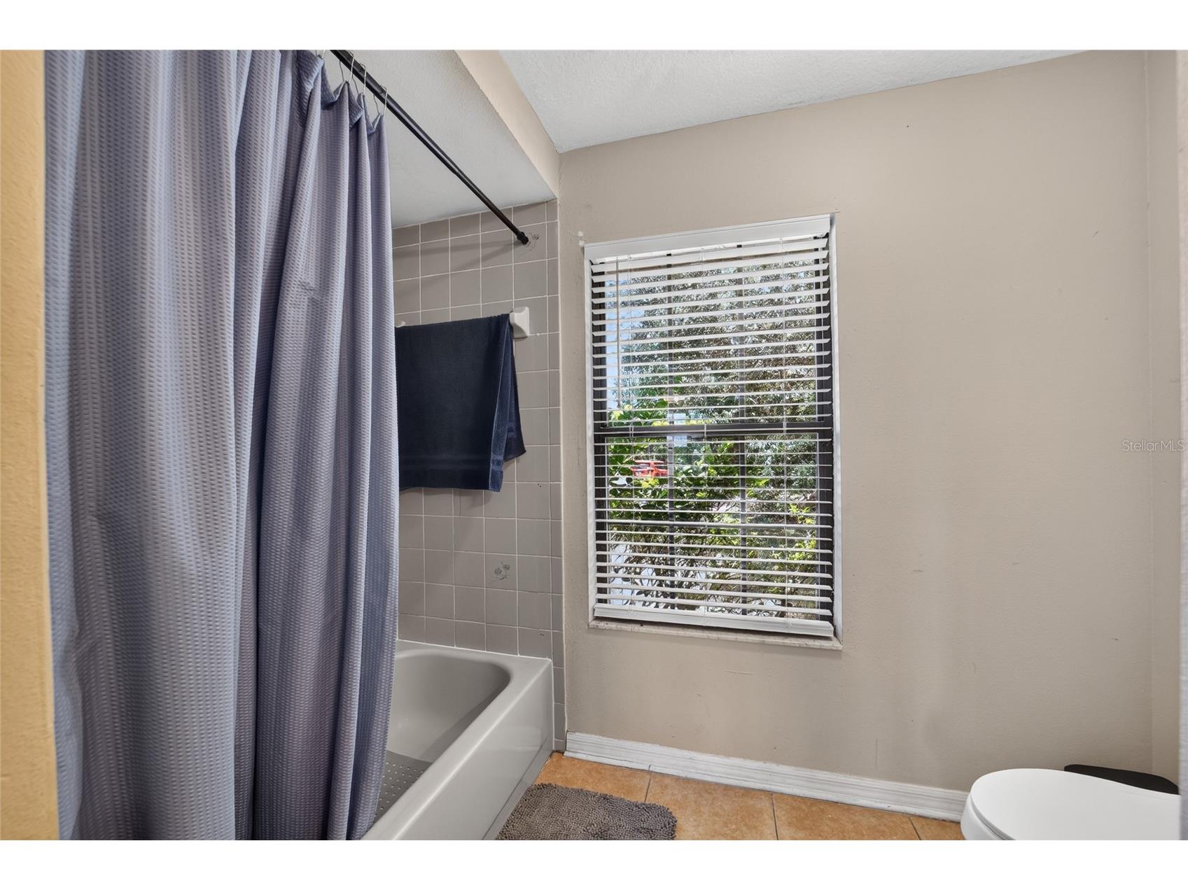 9 Cedar Place Ocala FL 34472 OM727796 image34