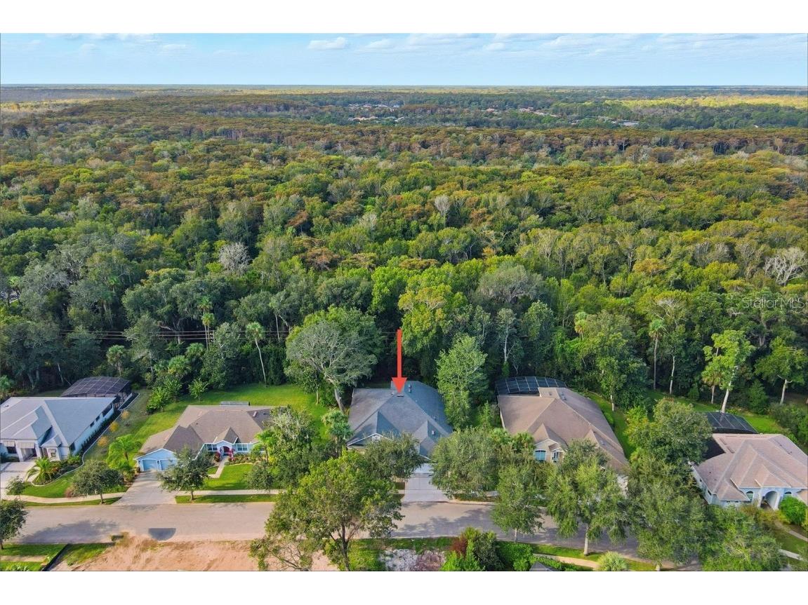 9 Creekside Drive Palm Coast FL 32137 FC313466 image58