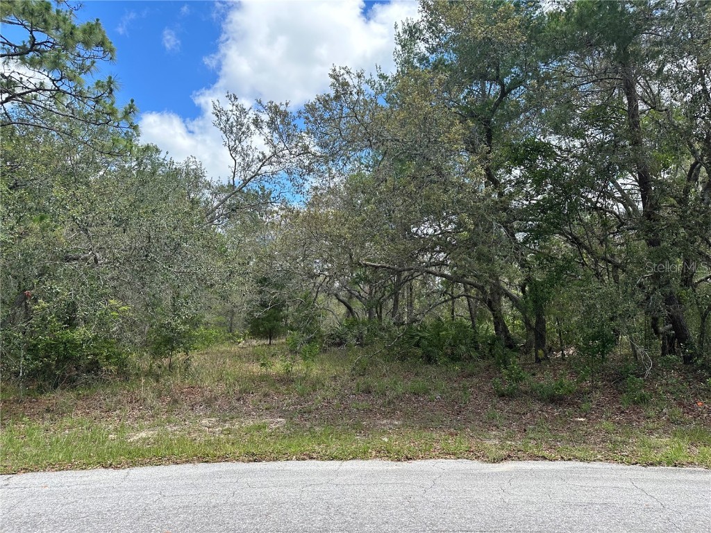 9 Dusty Miller Court Homosassa FL 34446 W7855729 image1