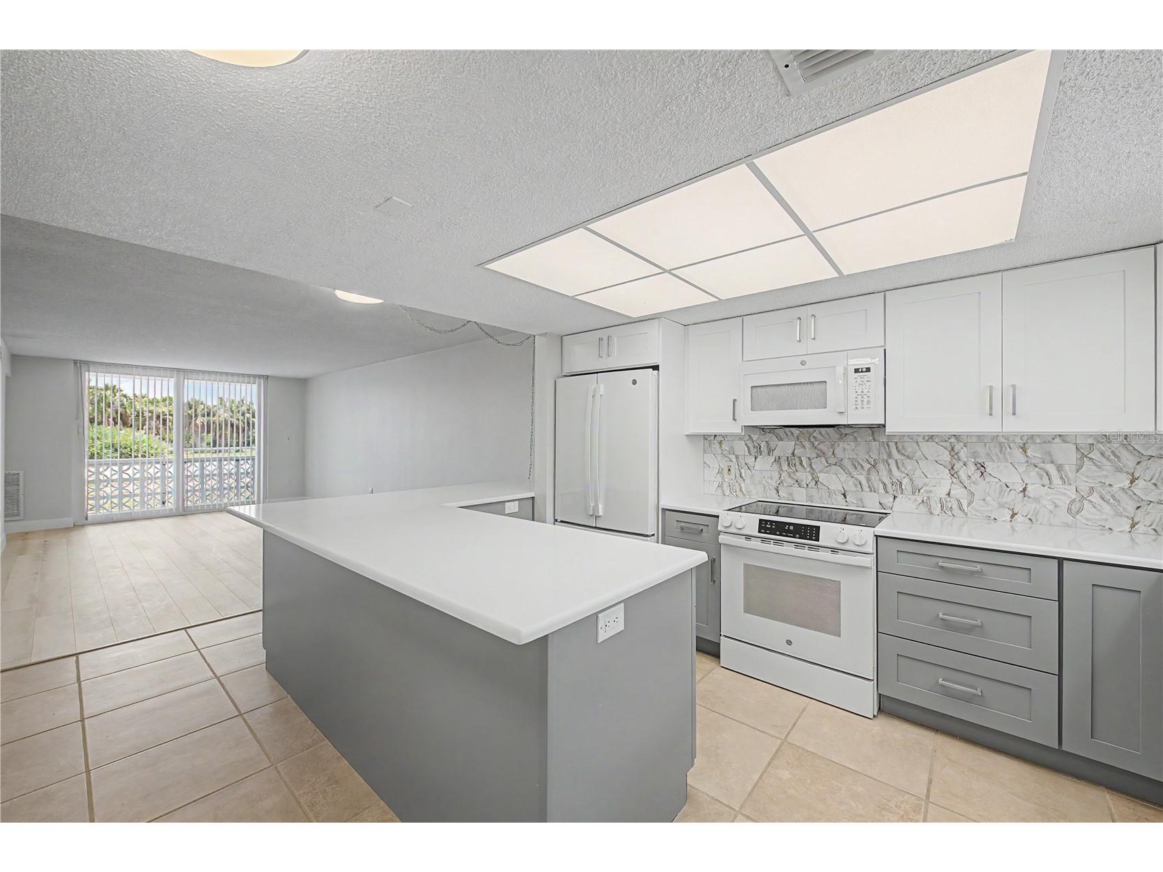 9 Forbes Place #108 Dunedin FL 34698 - ST JOSEPH SOUND TB8523659 image2