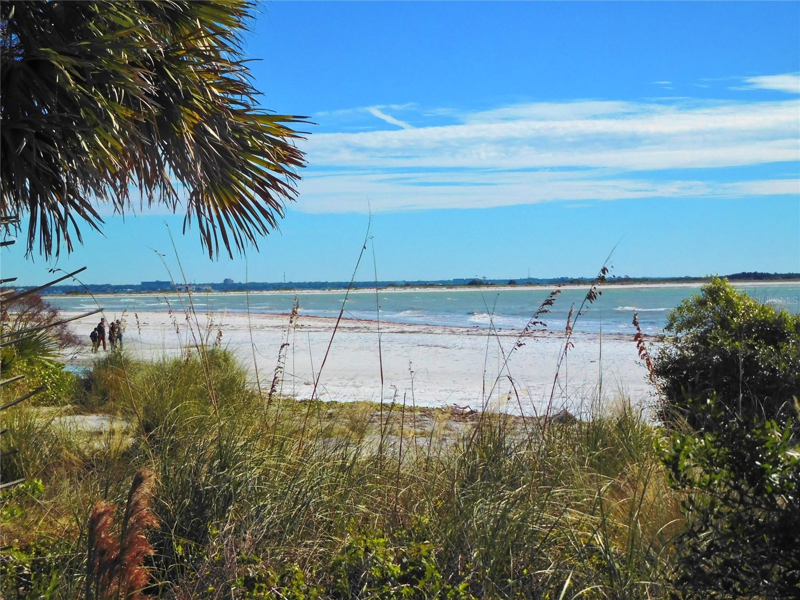 9 Forbes Place #108 Dunedin FL 34698 - ST JOSEPH SOUND TB8523659 image34