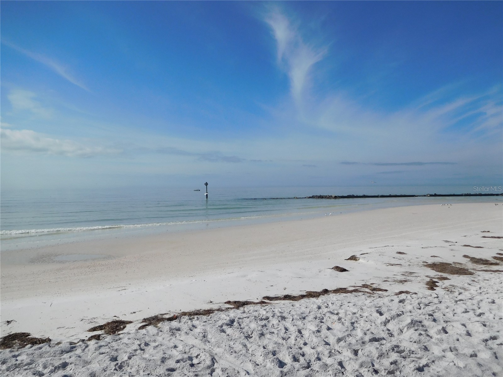 9 Forbes Place #108 Dunedin FL 34698 - ST JOSEPH SOUND TB8523659 image35