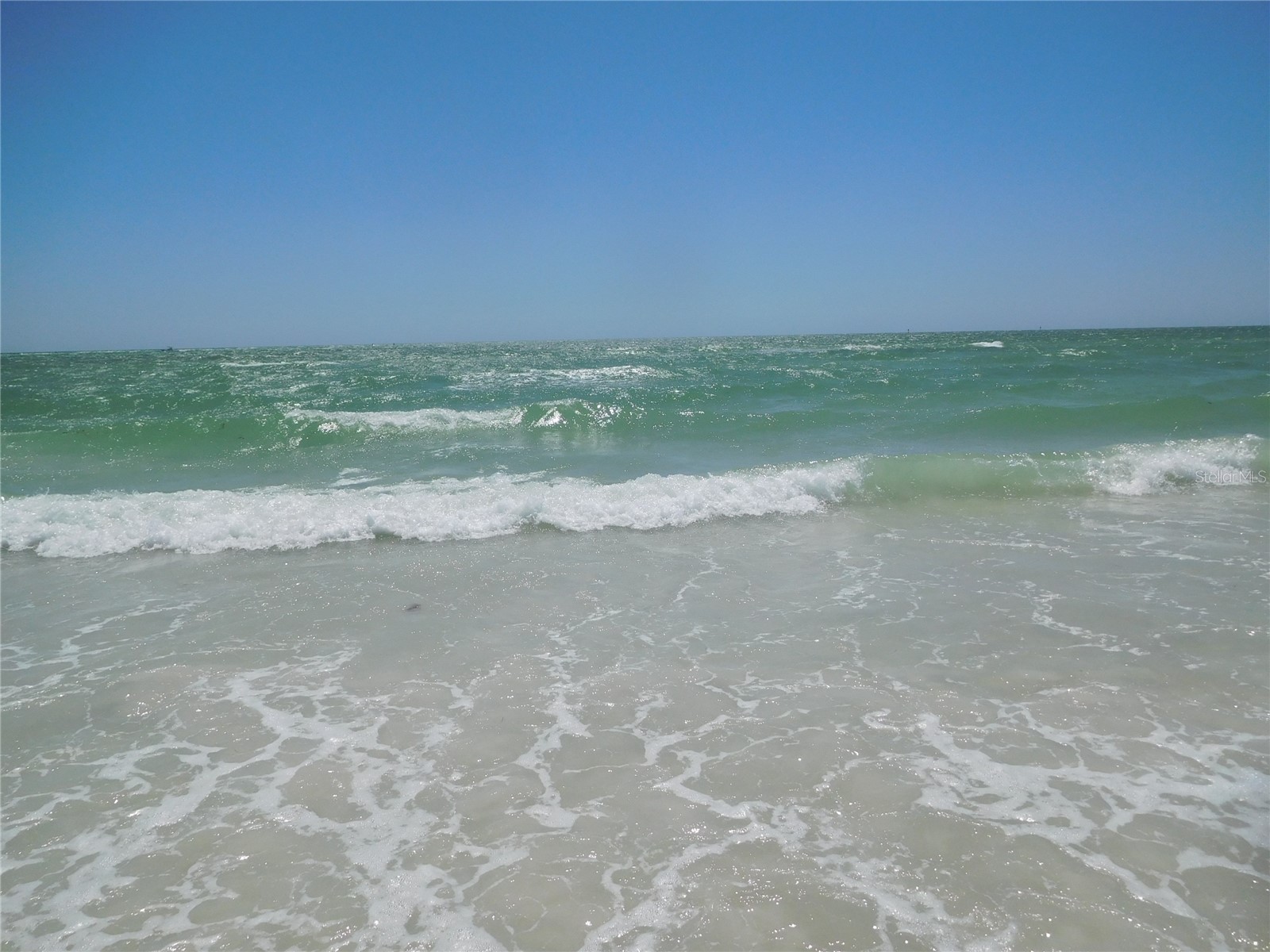 9 Forbes Place #108 Dunedin FL 34698 - ST JOSEPH SOUND TB8523659 image36