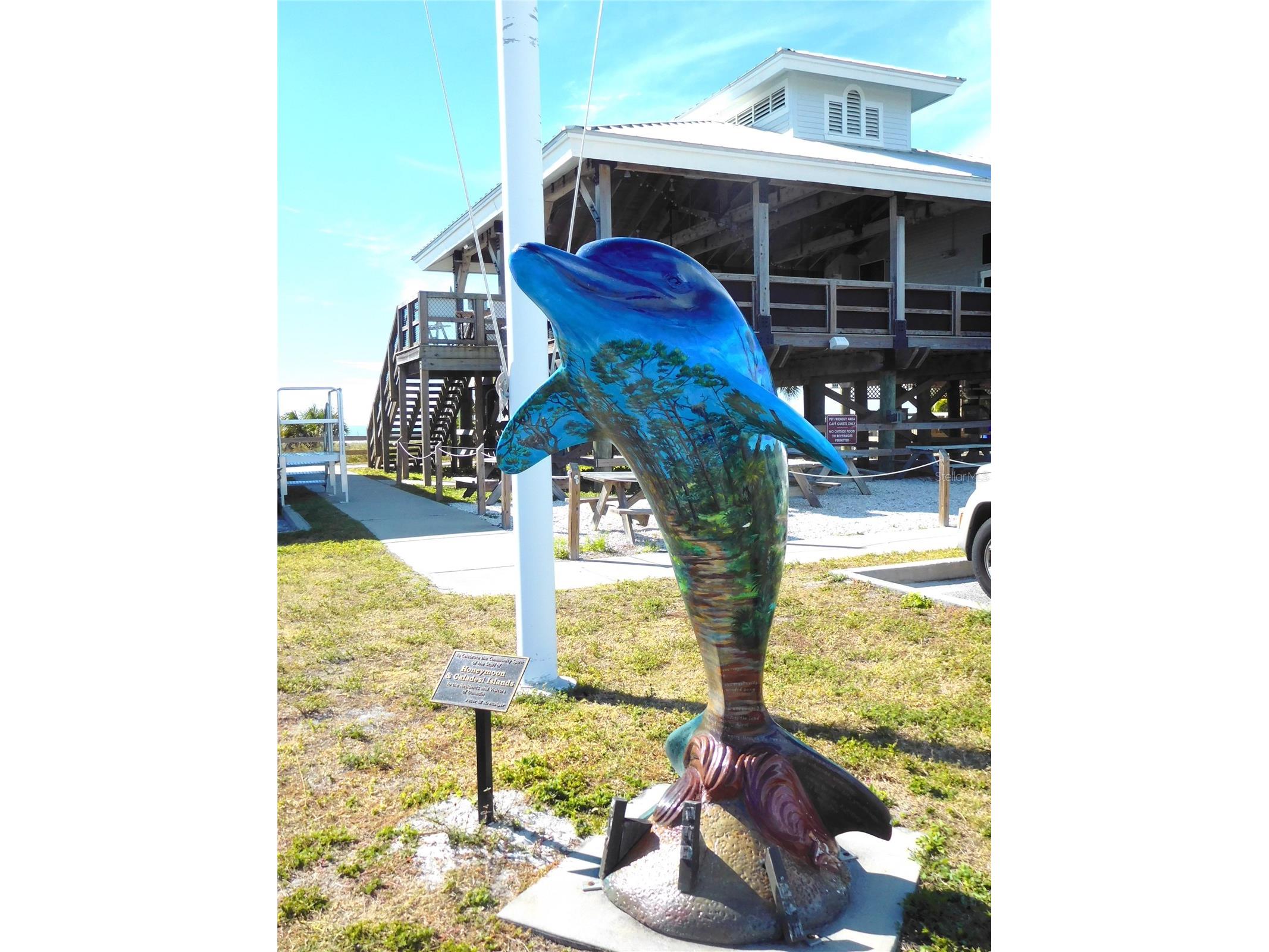 9 Forbes Place #108 Dunedin FL 34698 - ST JOSEPH SOUND TB8523659 image37
