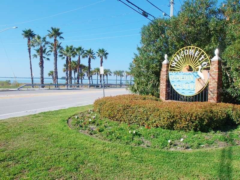 9 Forbes Place #108 Dunedin FL 34698 - ST JOSEPH SOUND TB8523659 image41