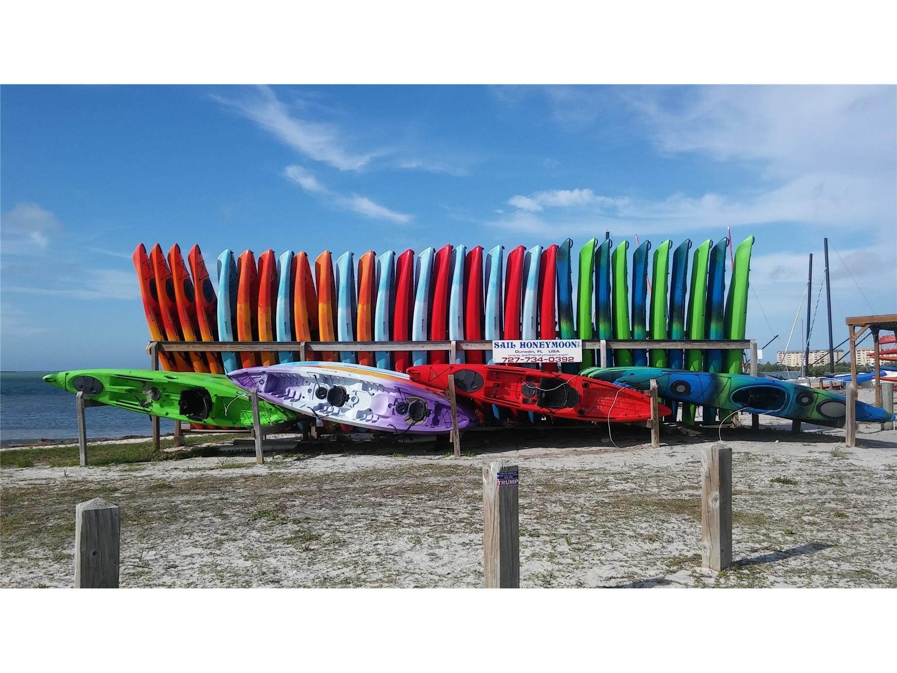 9 Forbes Place #108 Dunedin FL 34698 - ST JOSEPH SOUND TB8523659 image42