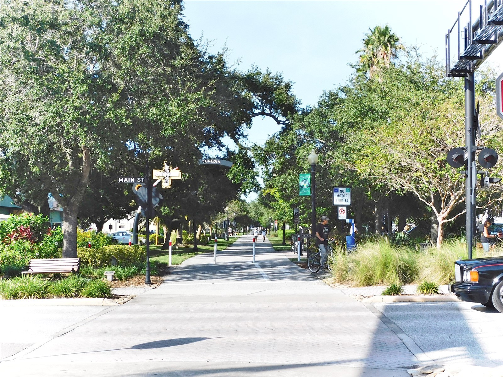 9 Forbes Place #108 Dunedin FL 34698 - ST JOSEPH SOUND TB8523659 image49